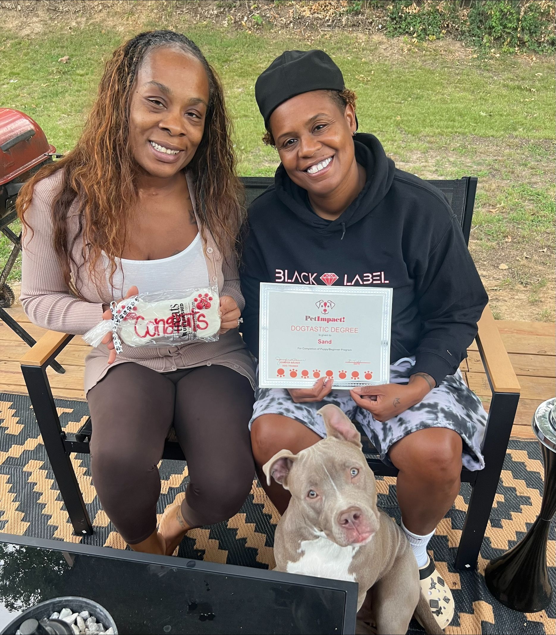 Dog with Certification — St. Louis, MO — PetImpact!