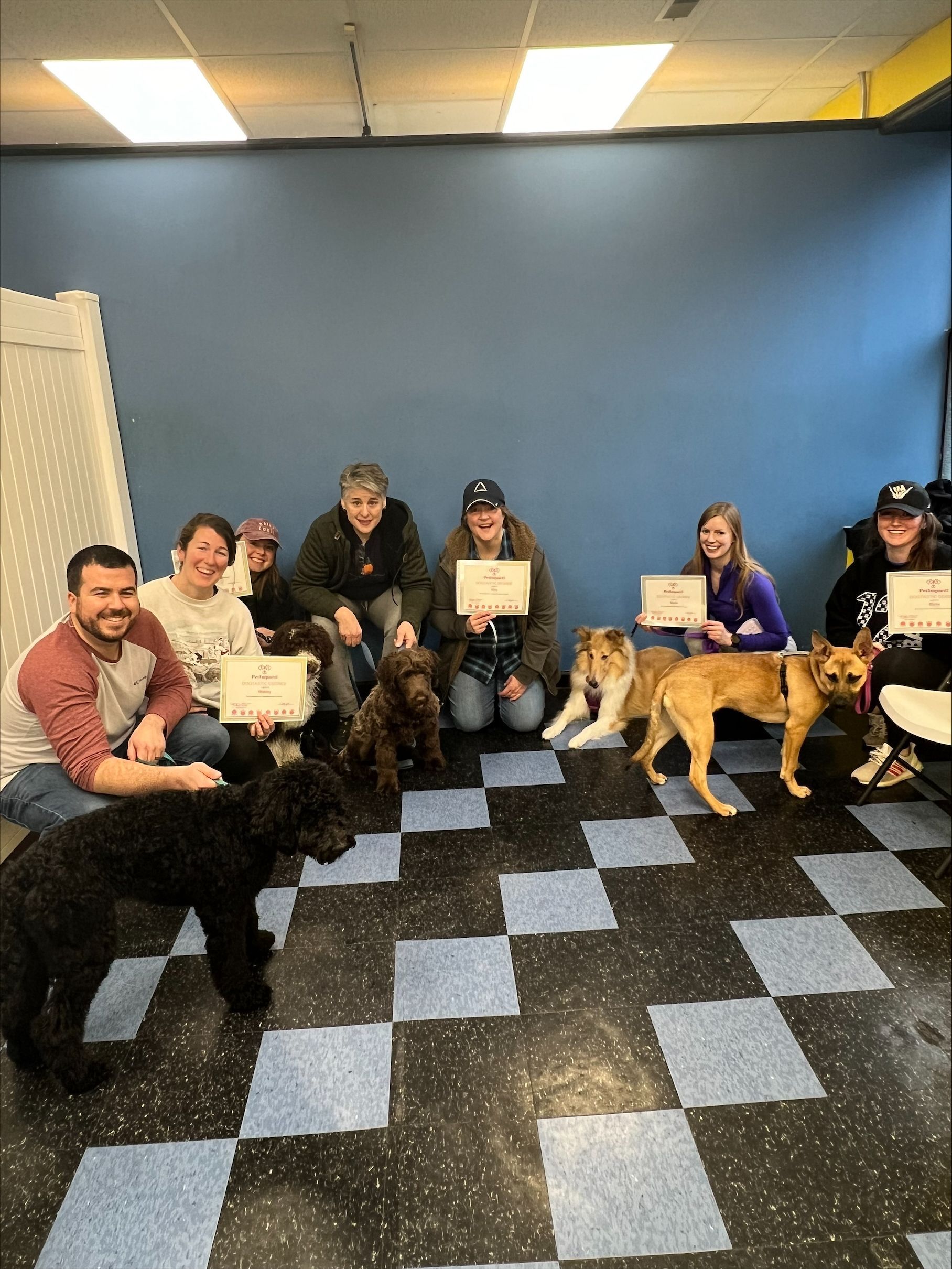 Group Photo Holding Certificate — St. Louis, MO — PetImpact!