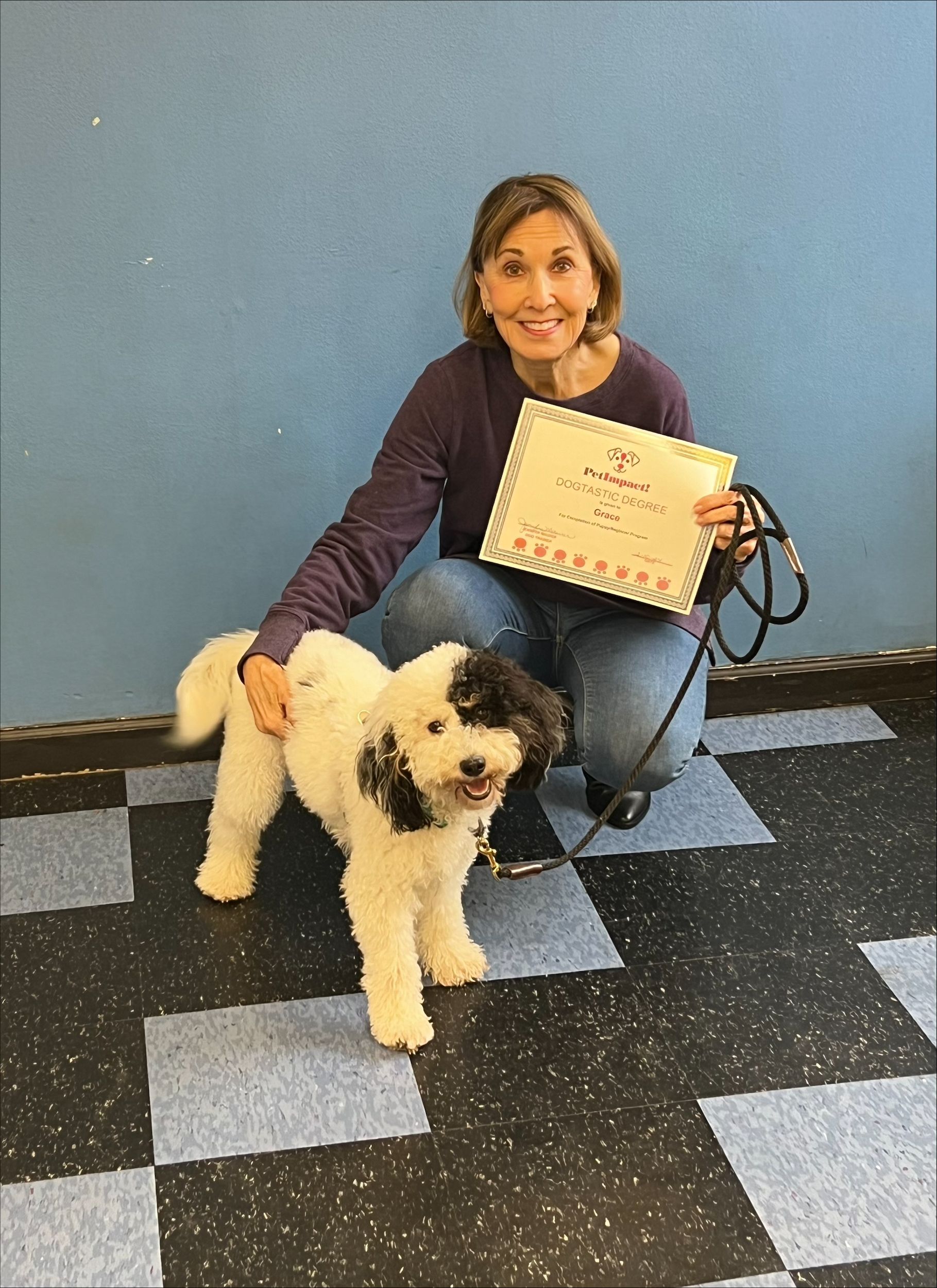 Cute Dog with her Owner — St. Louis, MO — PetImpact!