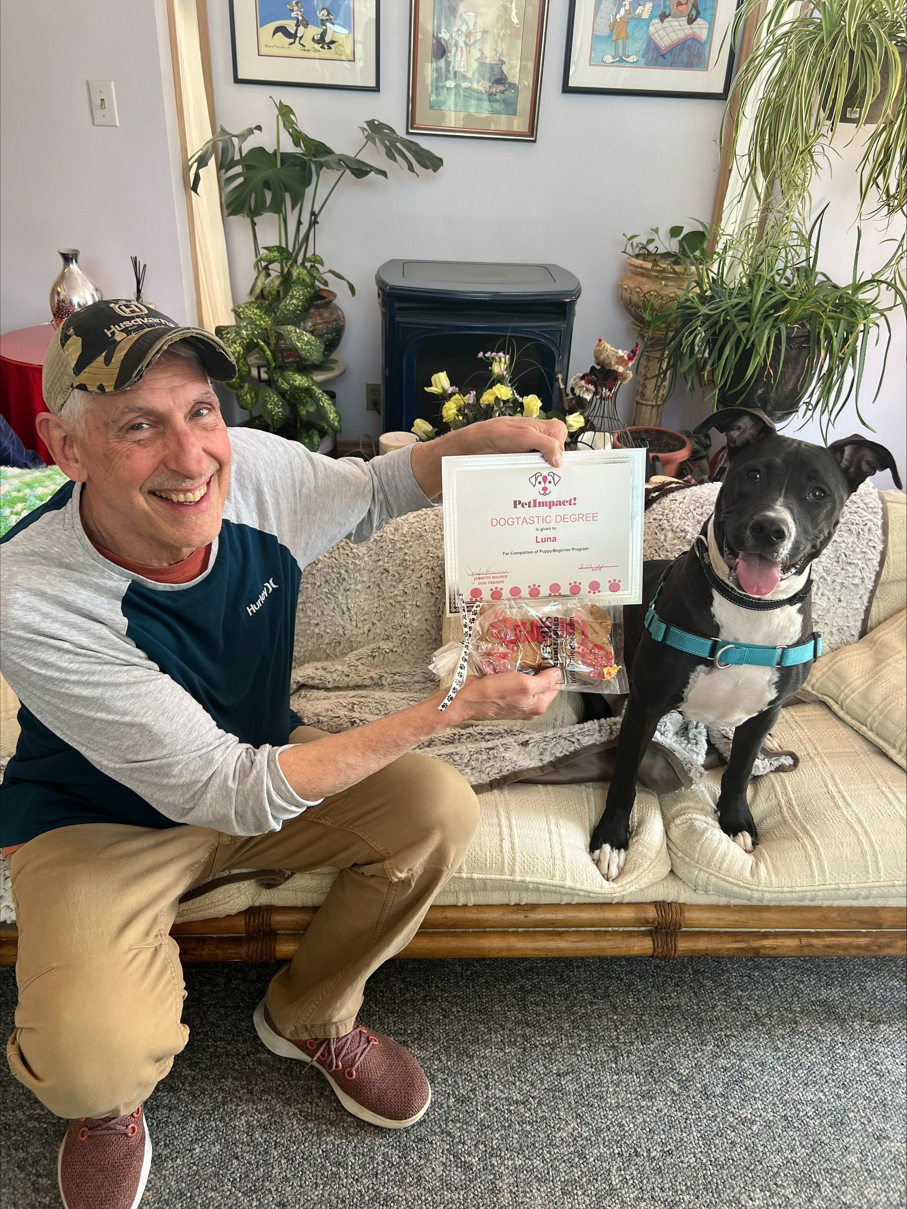 Luna — St. Louis, MO — PetImpact!