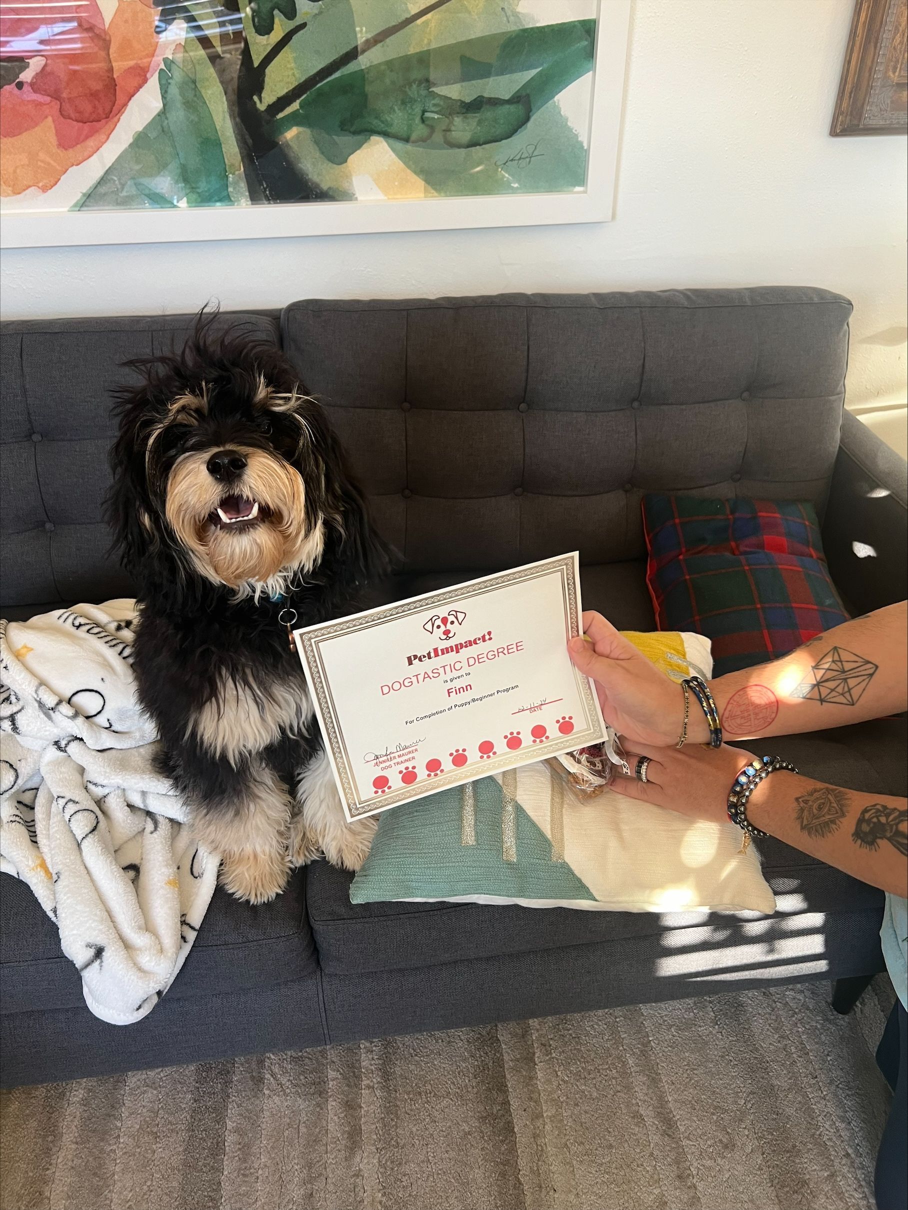 A dog is sitting on a couch holding a sign.