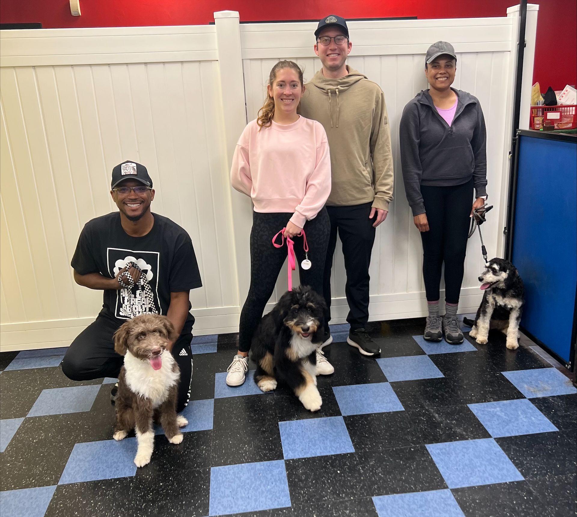 Four Dog Owner and their Dog — St. Louis, Mo — Petimpact!