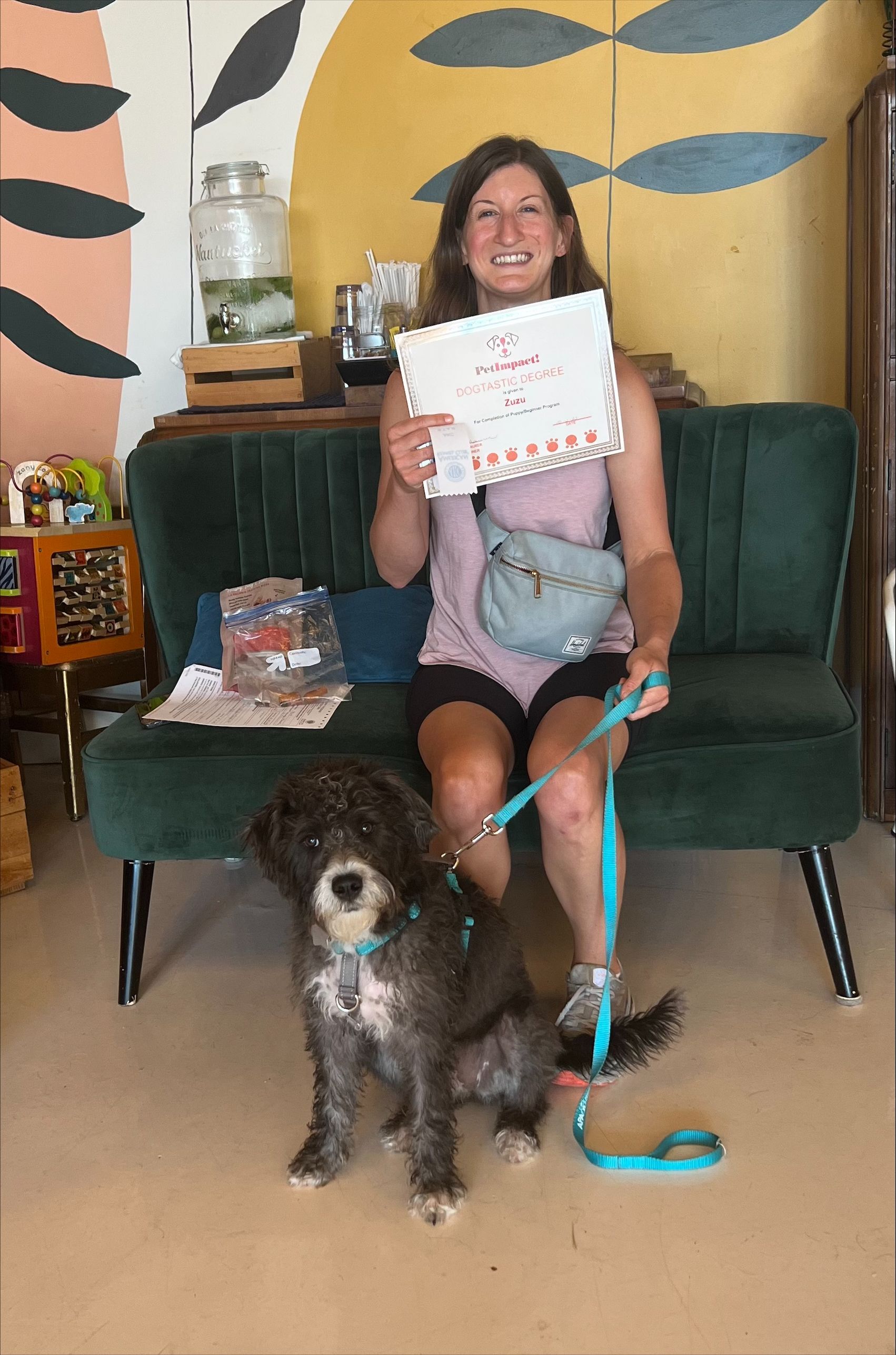 Dog Owner and their Certified Dog — St. Louis, Mo — Petimpact!
