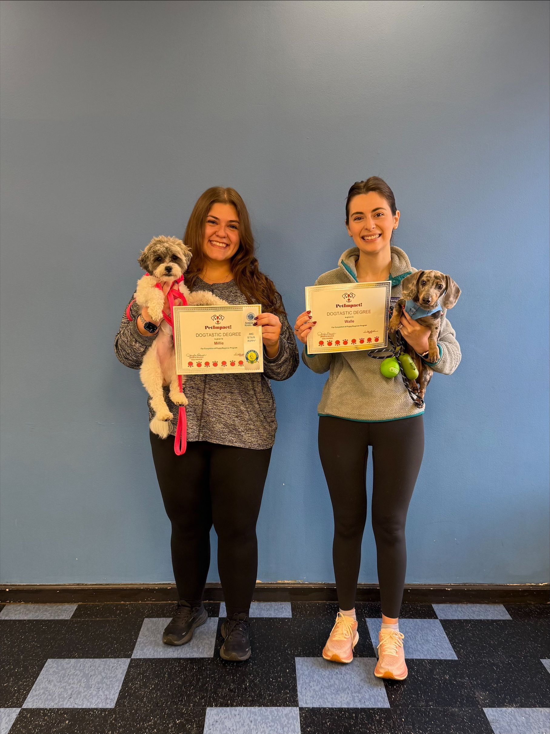 Two people holding dogs, smiling, and holding certificates in front of a blue wall.