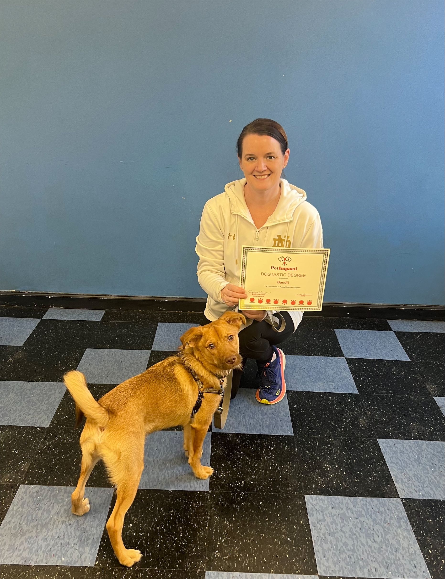 A woman is sitting on the floor with a dog and holding a certificate.