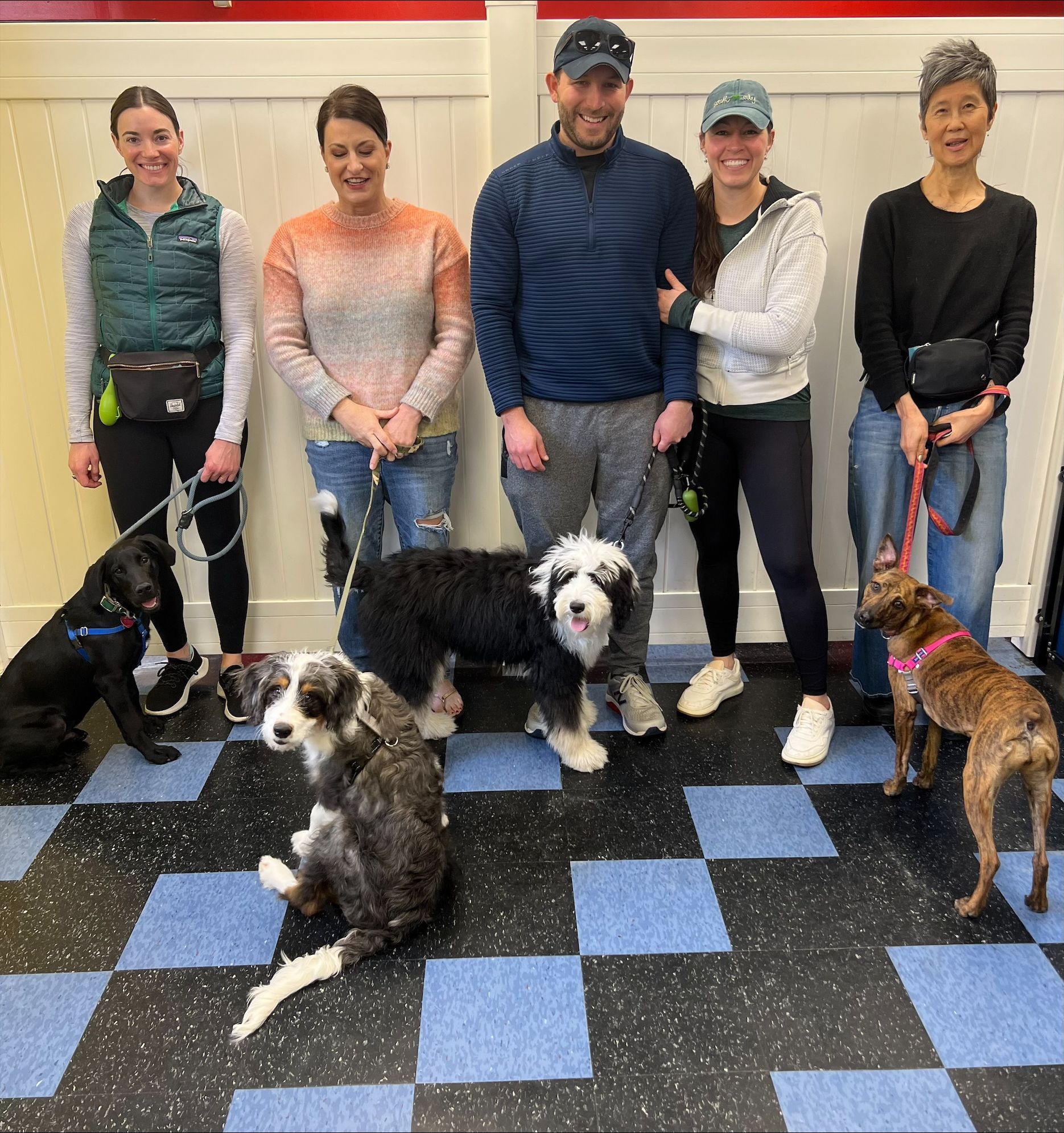  Beautiful Fur Parents — St. Louis, MO — PetImpact!