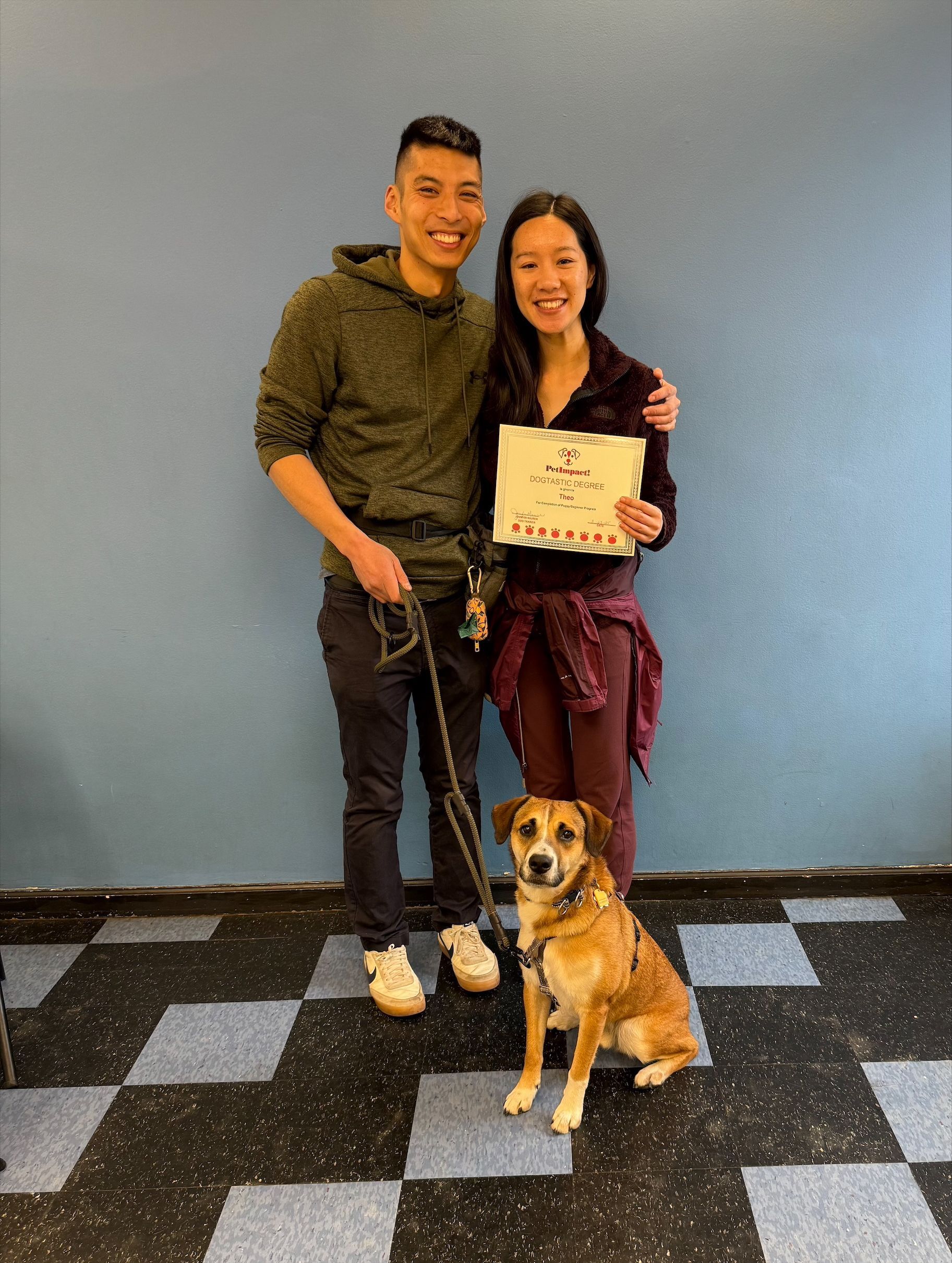 A man and a woman are standing next to a dog on a leash.