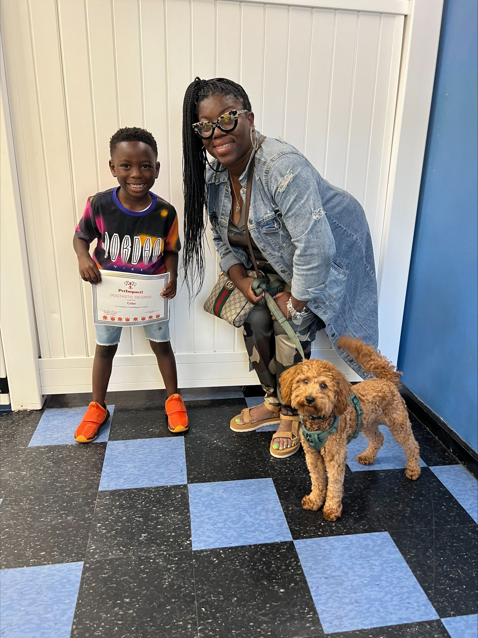 Cobe with Dogtastic Degree — St. Louis, MO — PetImpact!