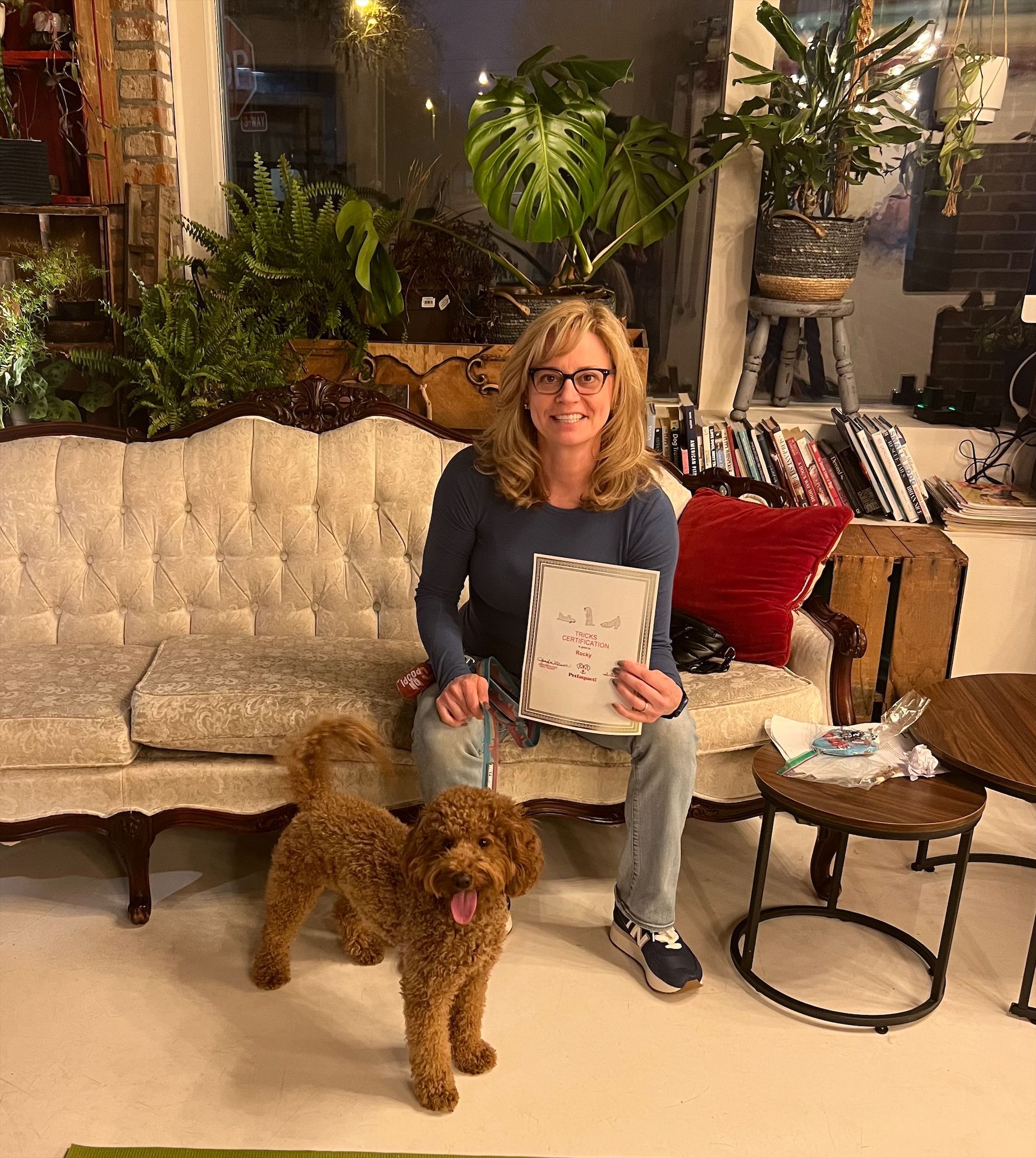 Cute Poodle with Owner — St. Louis, MO — PetImpact!