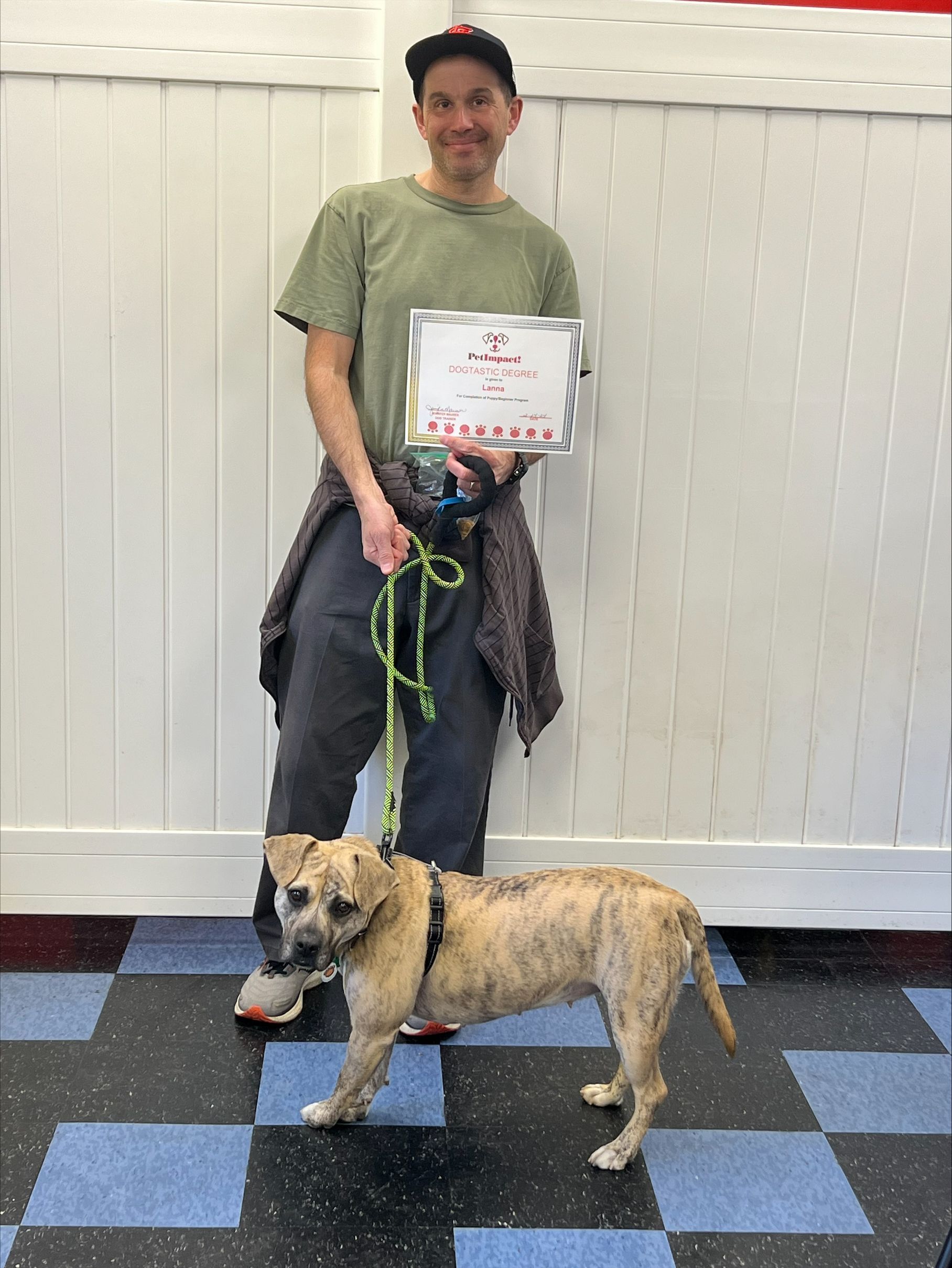 Man holding a leash stands next to a tan, brindle dog indoors. The man holds a sign. Blue and black checkered floor.