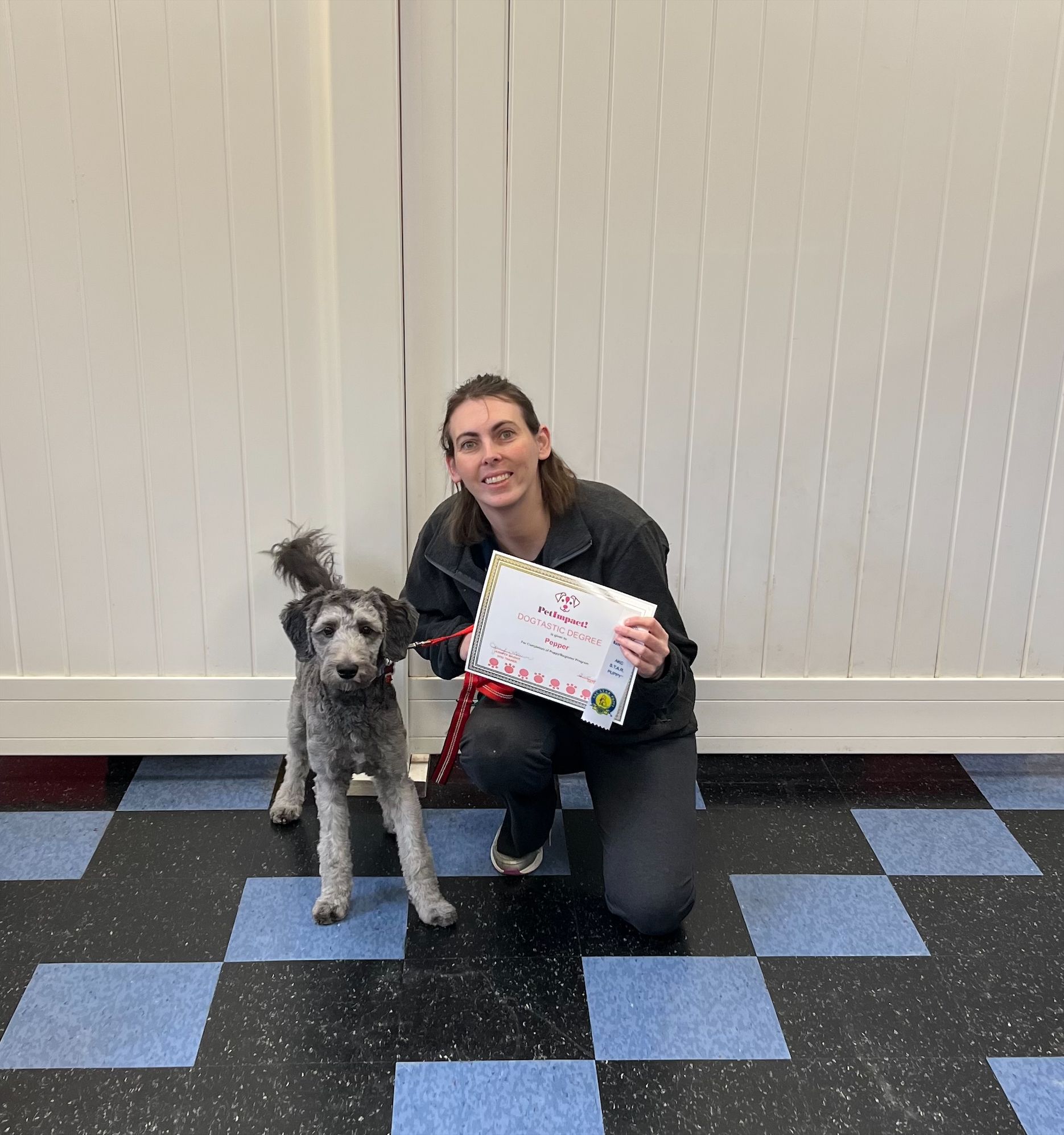 New Graduate Dog and Owner — St. Louis, MO — PetImpact!