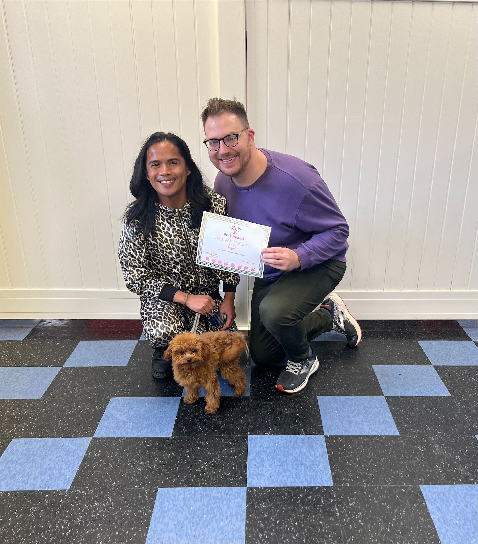 Dog Owner With Their Small Brown Dog — St. Louis, MO — PetImpact!