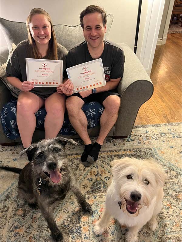 Couple on couch with two dogs, holding certificates. Happy expressions; indoor setting with rug.
