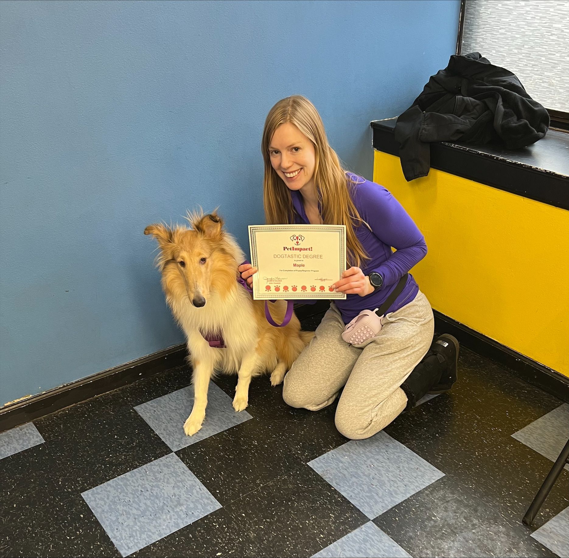 Beautiful Owner — St. Louis, MO — PetImpact!