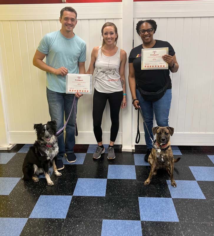 Three people with dogs pose with certificates indoors; blue and black checkered floor.