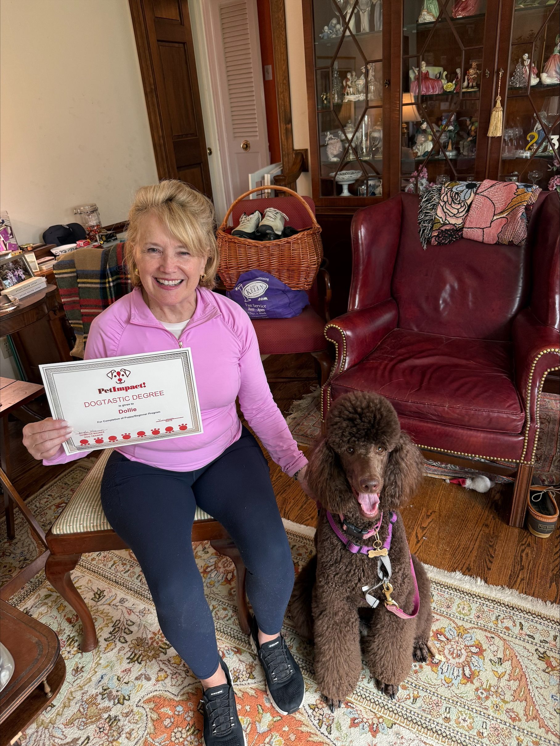 A person in a pink top holds a certificate next to a brown standard poodle in a carpeted room with a maroon chair.