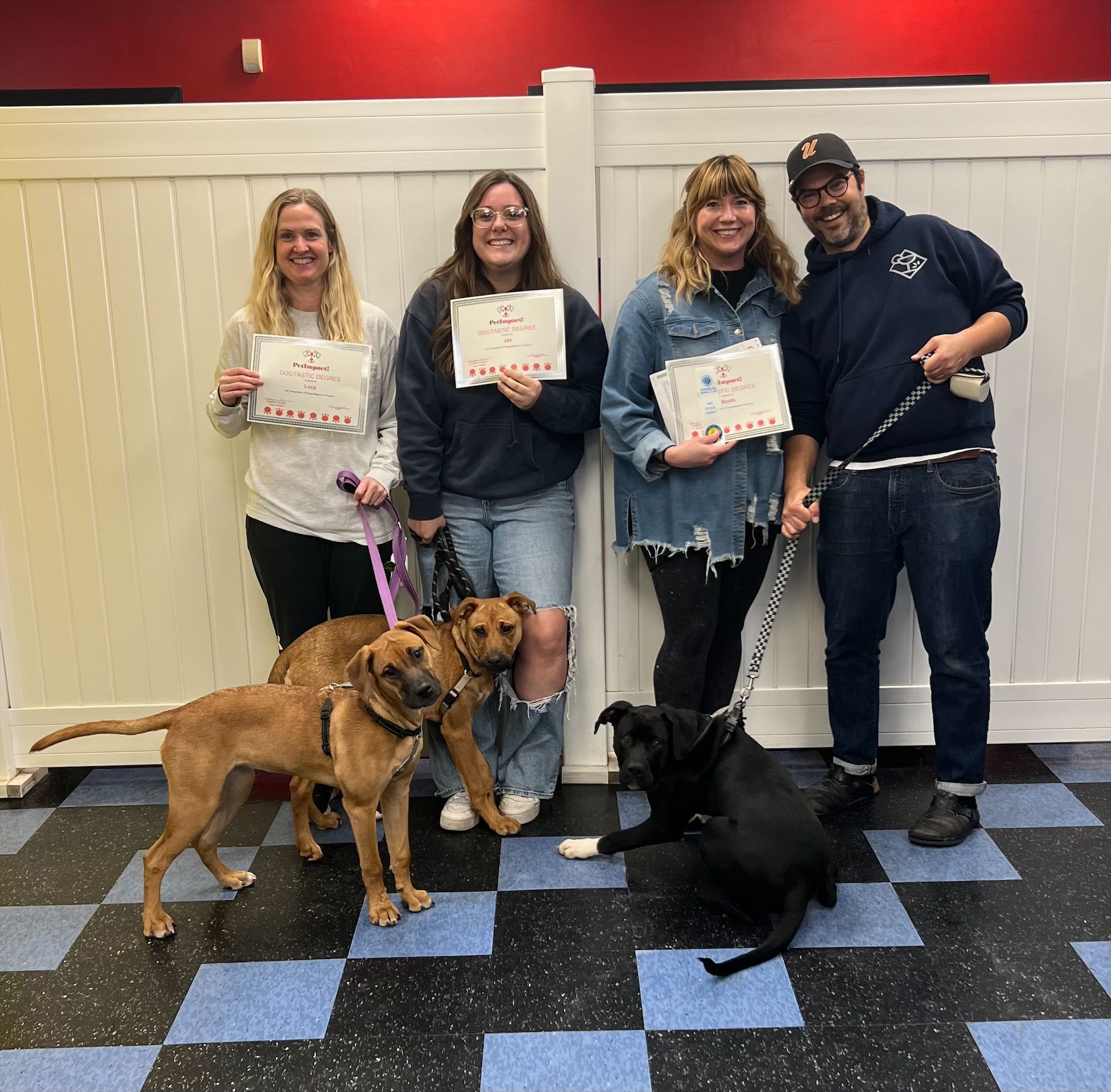 A group of people and their dogs are posing for a picture.