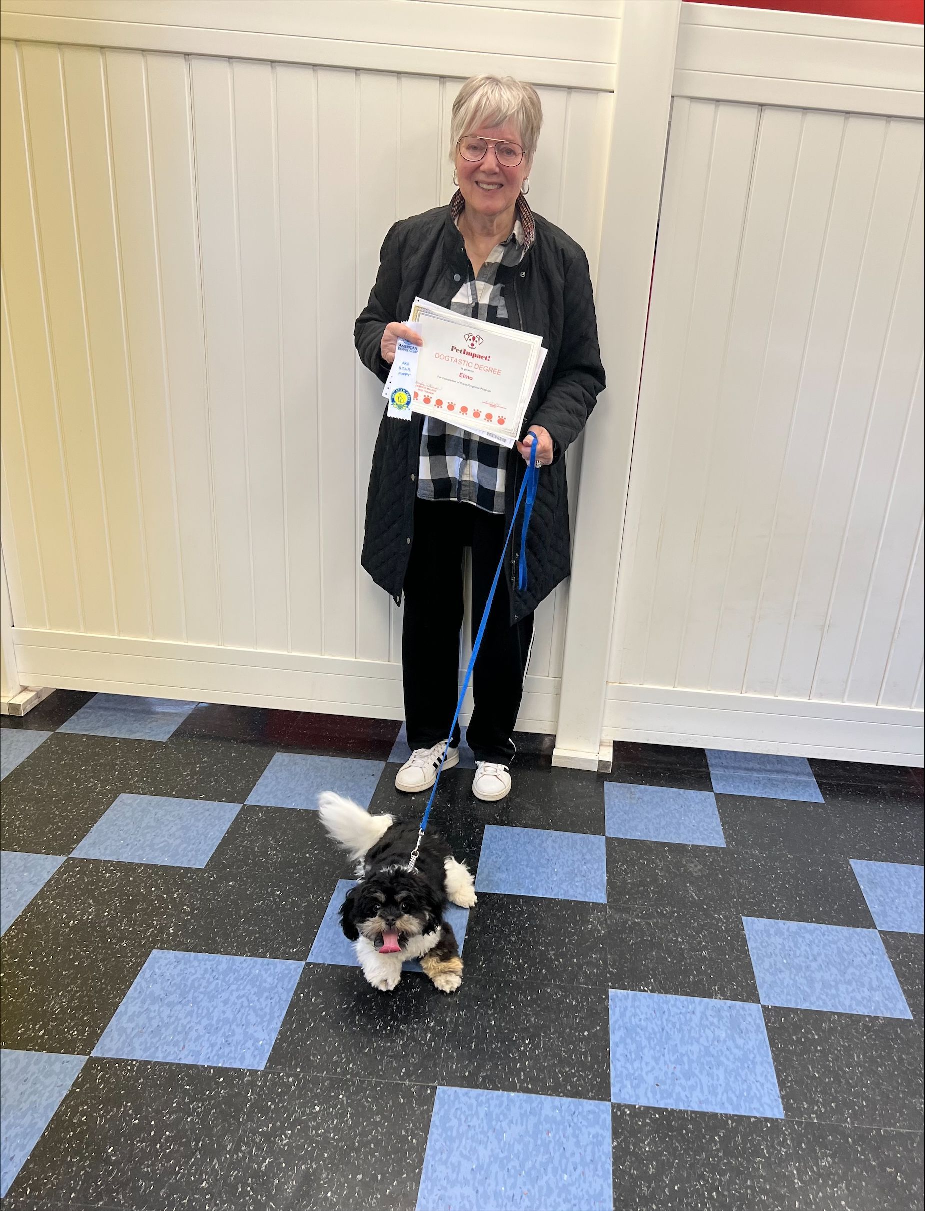 Elma — St. Louis, MO — PetImpact!