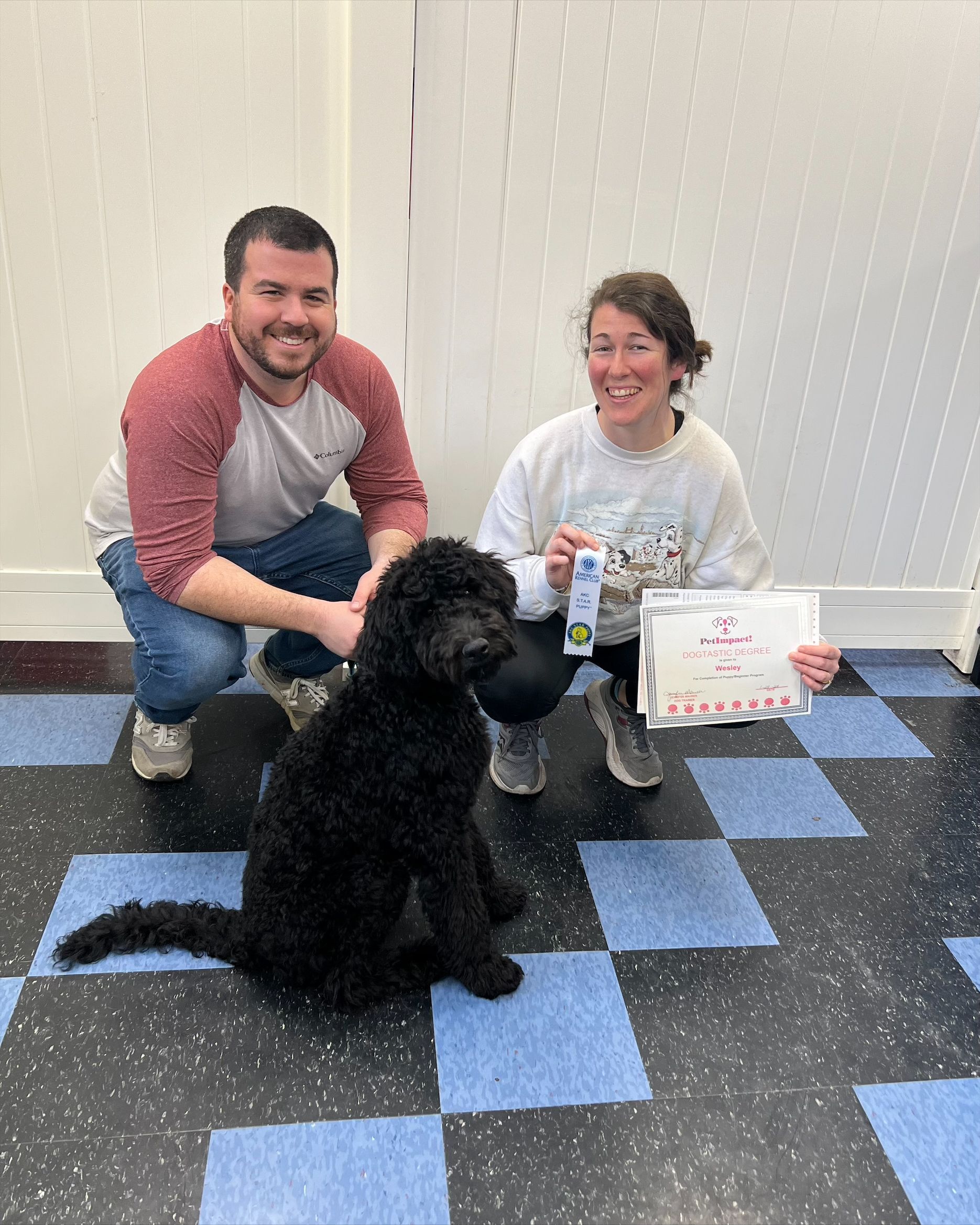 Black Poodle with Owners — St. Louis, MO — PetImpact!