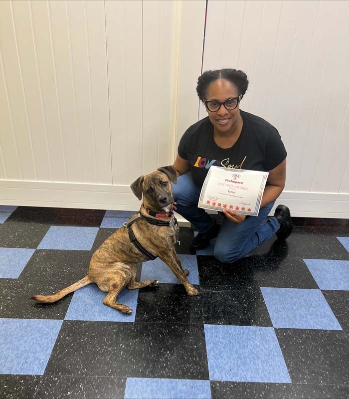 Woman and dog sit on checkered floor, holding certificates. The dog is brindle and wearing a collar.