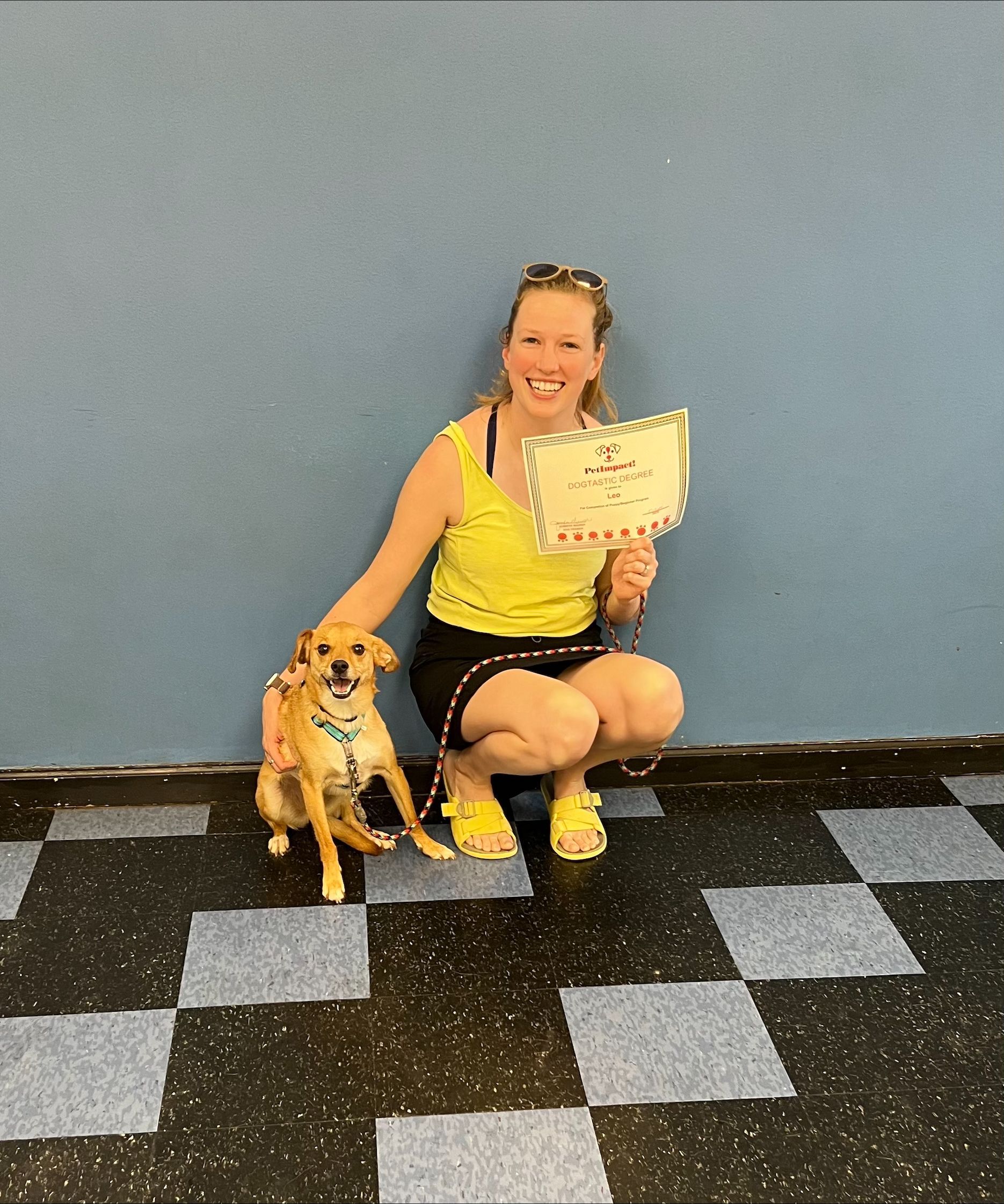 Woman in yellow top and dog pose on checkered floor with a certificate, blue wall background.