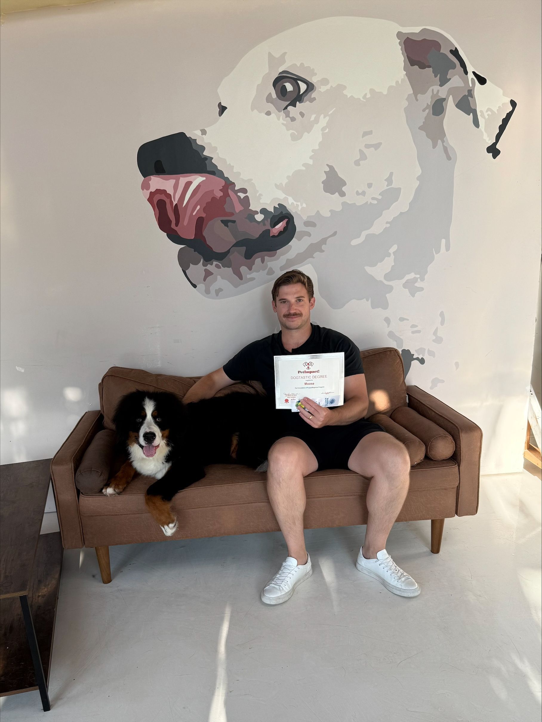 A man and a woman are sitting on stairs with a dog.