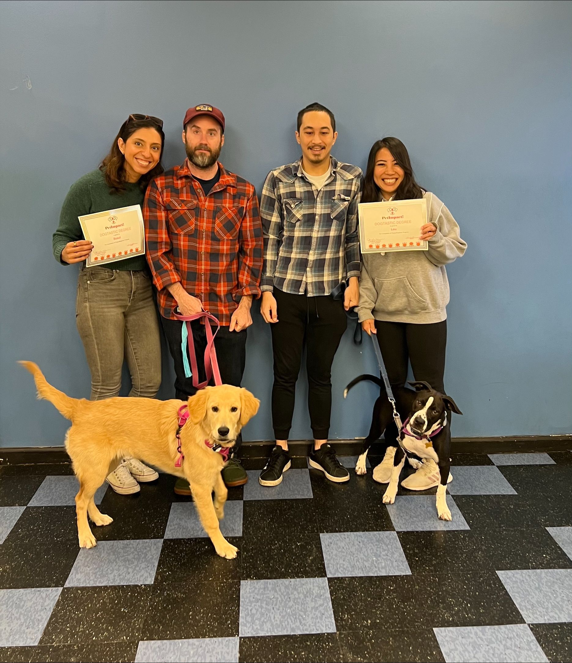 A group photo of fur parents — St. Louis, Mo — Petimpact!