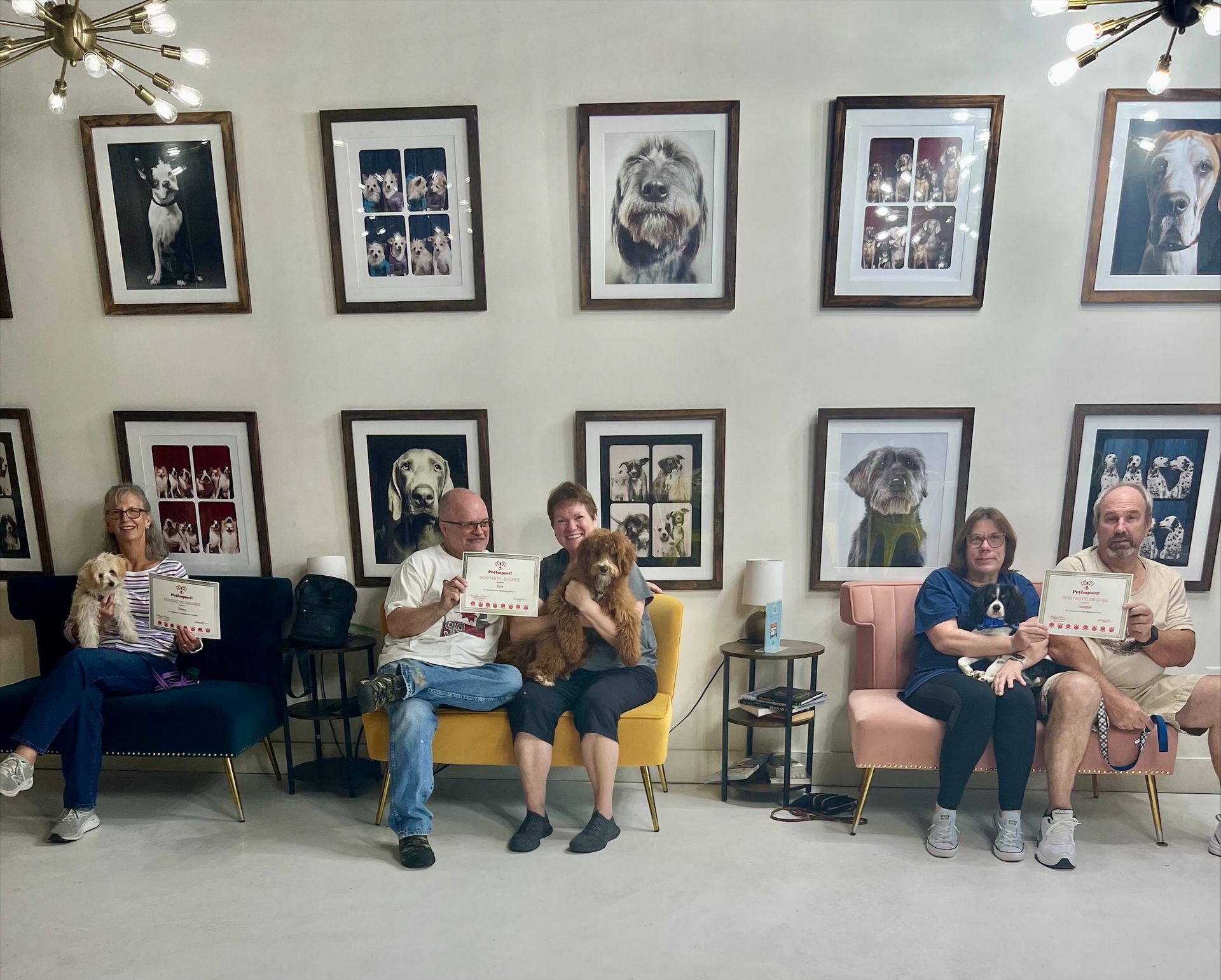 A group of people are sitting in a room with pictures of dogs on the wall.