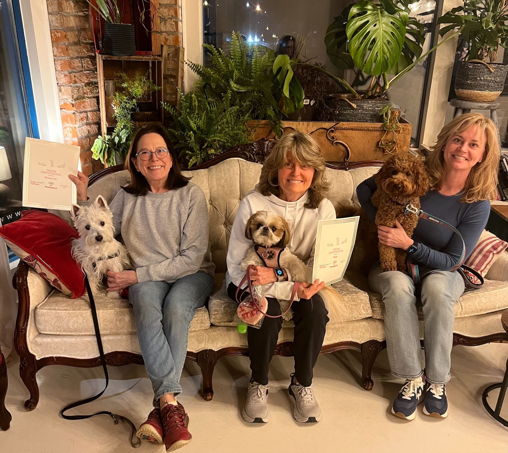 Group Photo — St. Louis, MO — PetImpact!