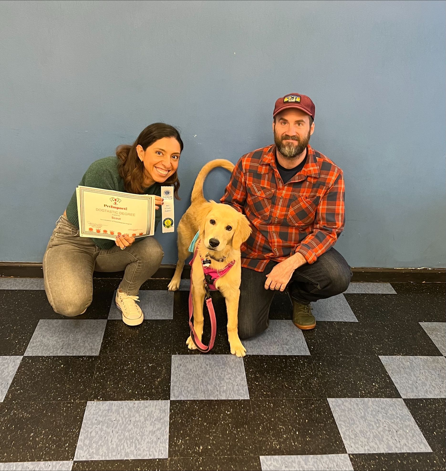 Couple with their Certified Dogs — St. Louis, MO — PetImpact!