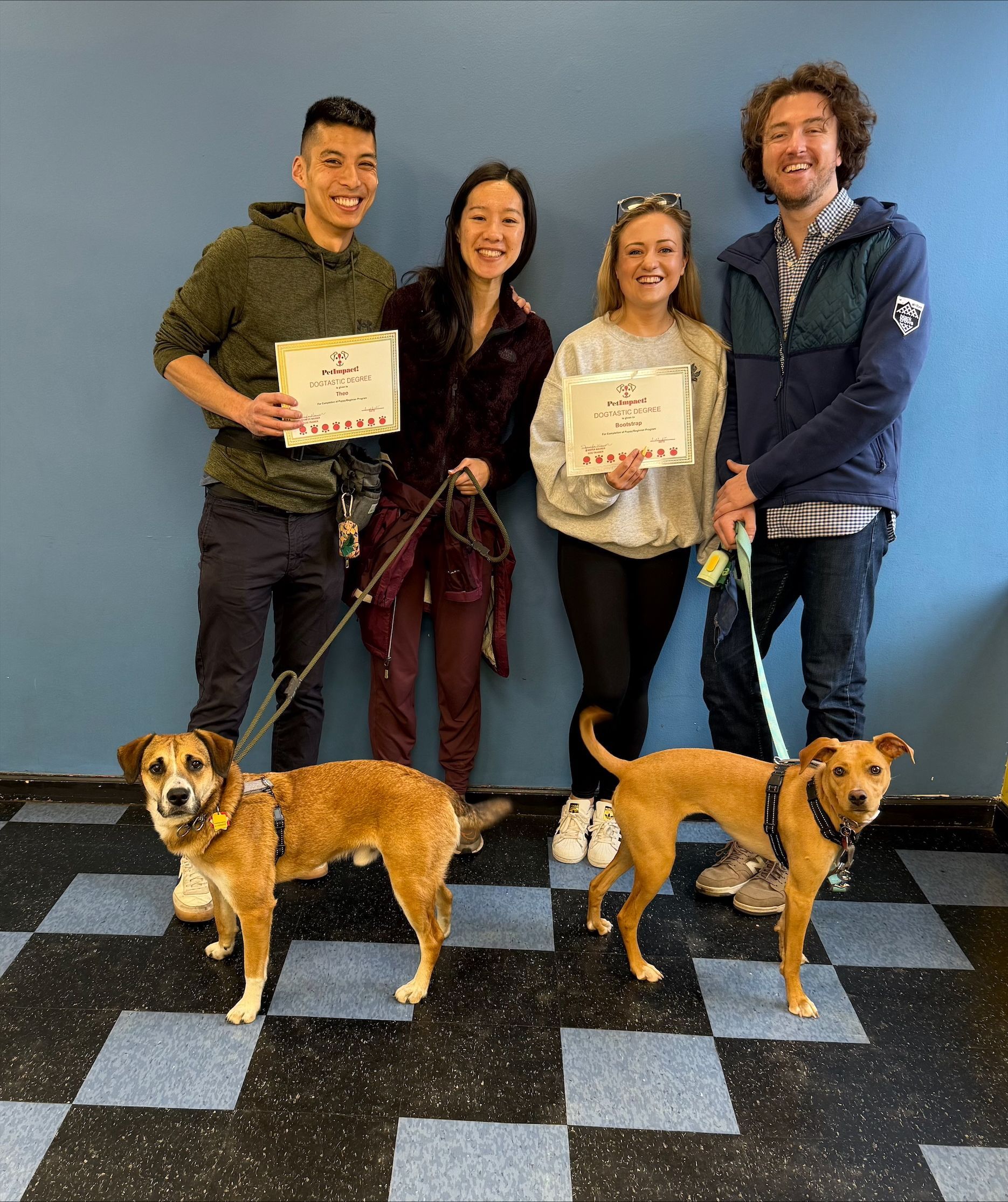 A group of people standing next to two dogs holding certificates.