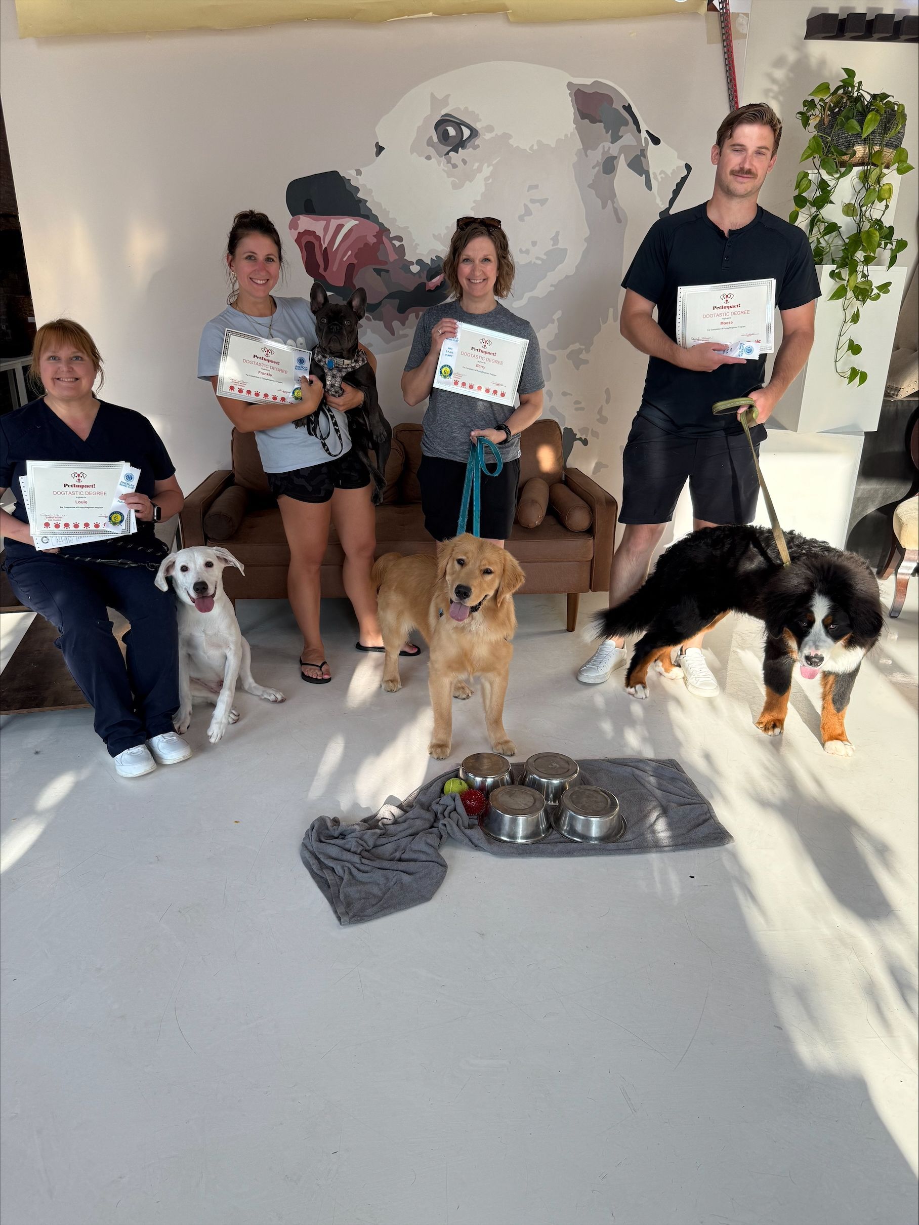 A man is holding a small white dog and a certificate.
