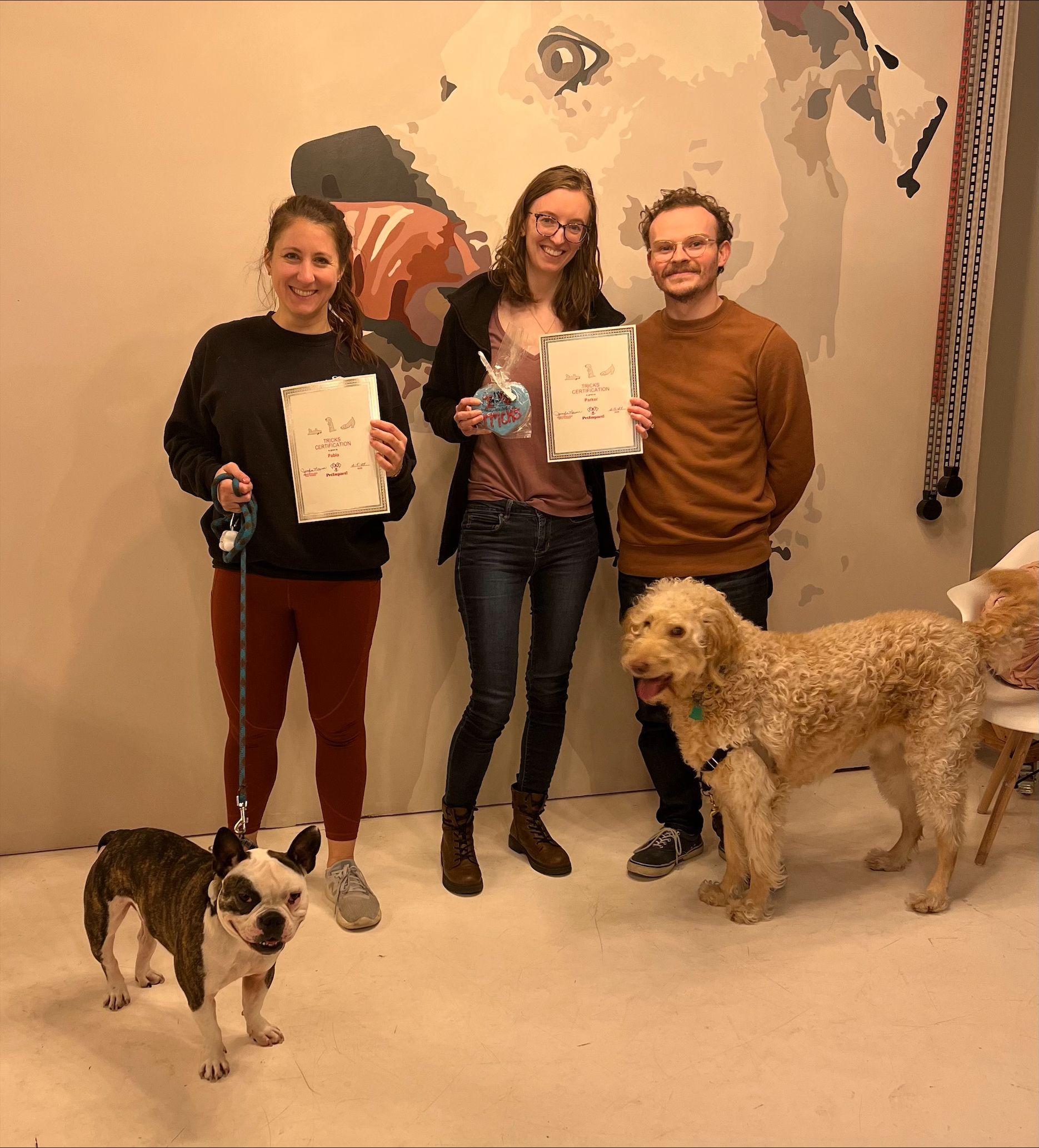 Happy Dog Owners — St. Louis, MO — PetImpact!