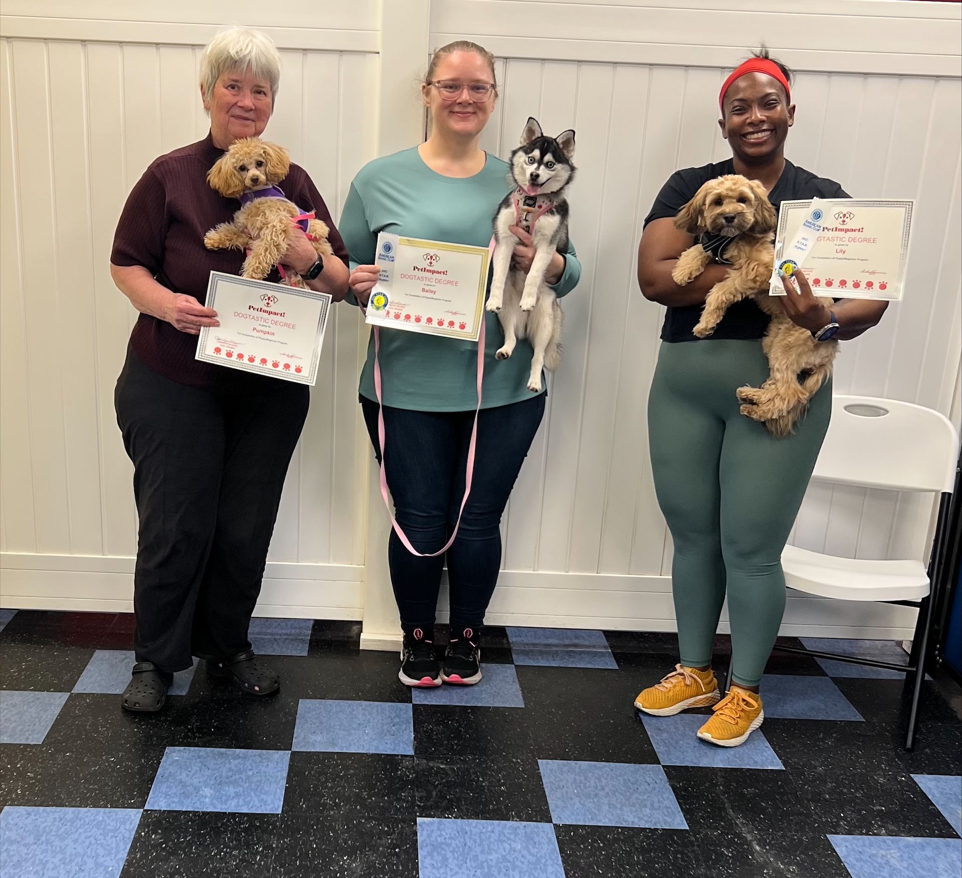 Three women are holding dogs and holding certificates