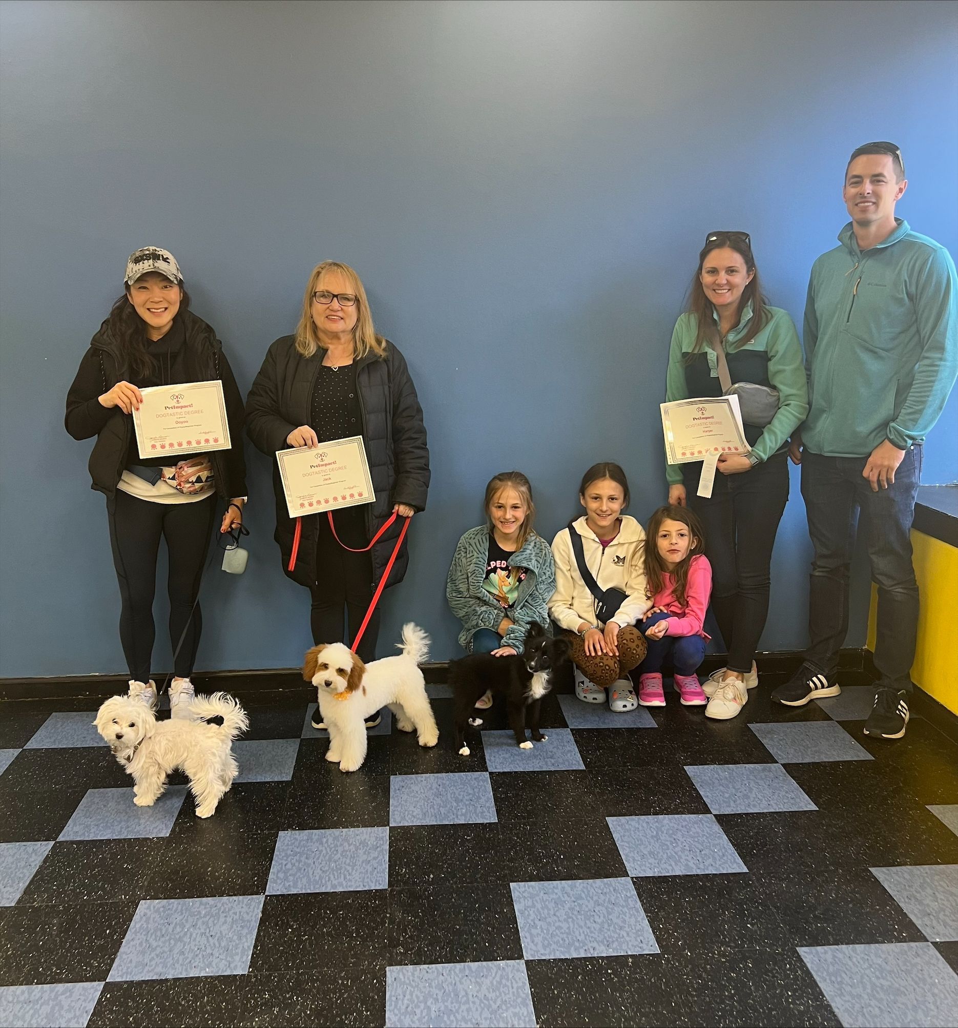 A group of people are posing for a picture with their dogs.