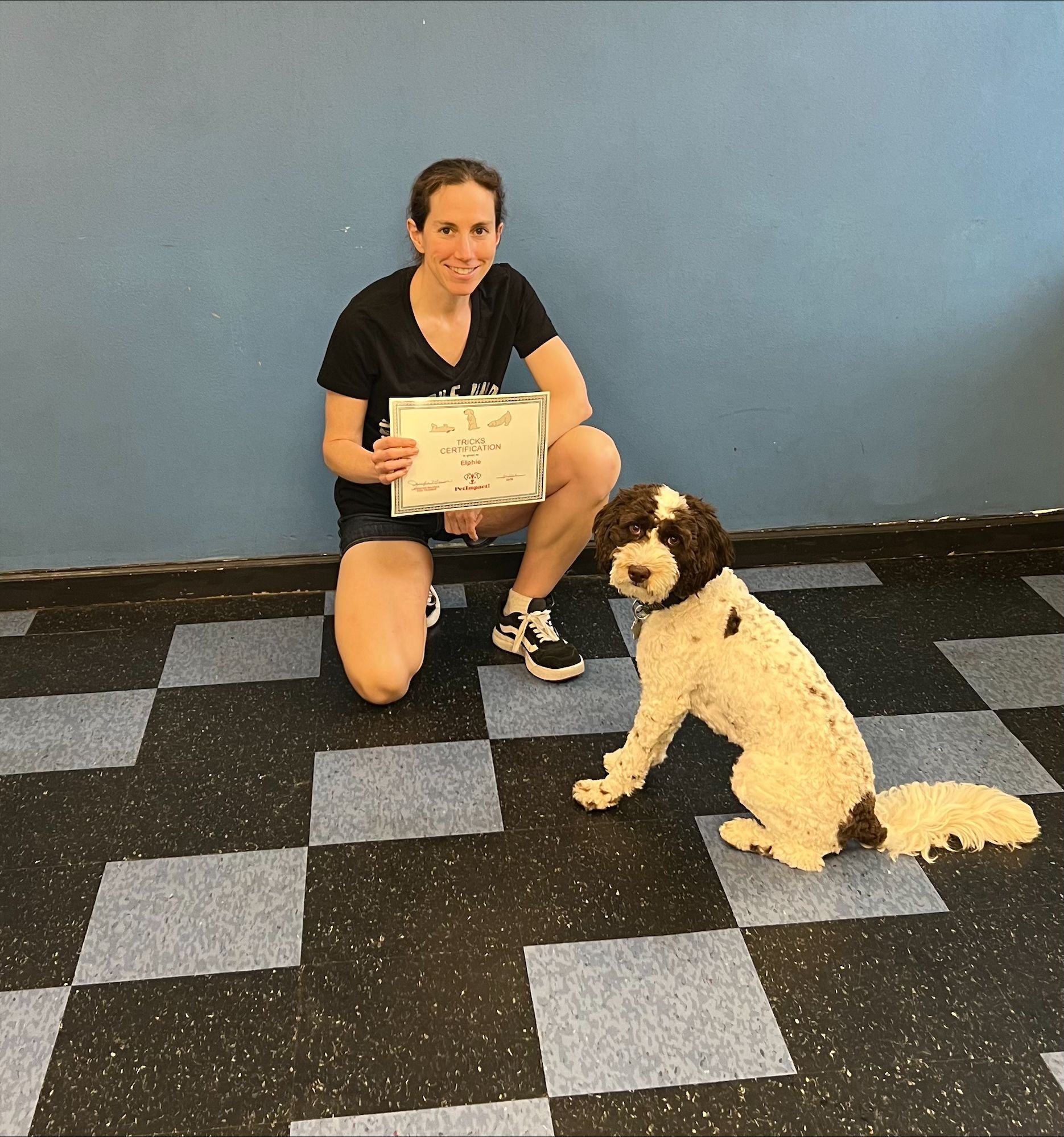 Fur Owner Holding Dog Certificate — St. Louis, MO — PetImpact!