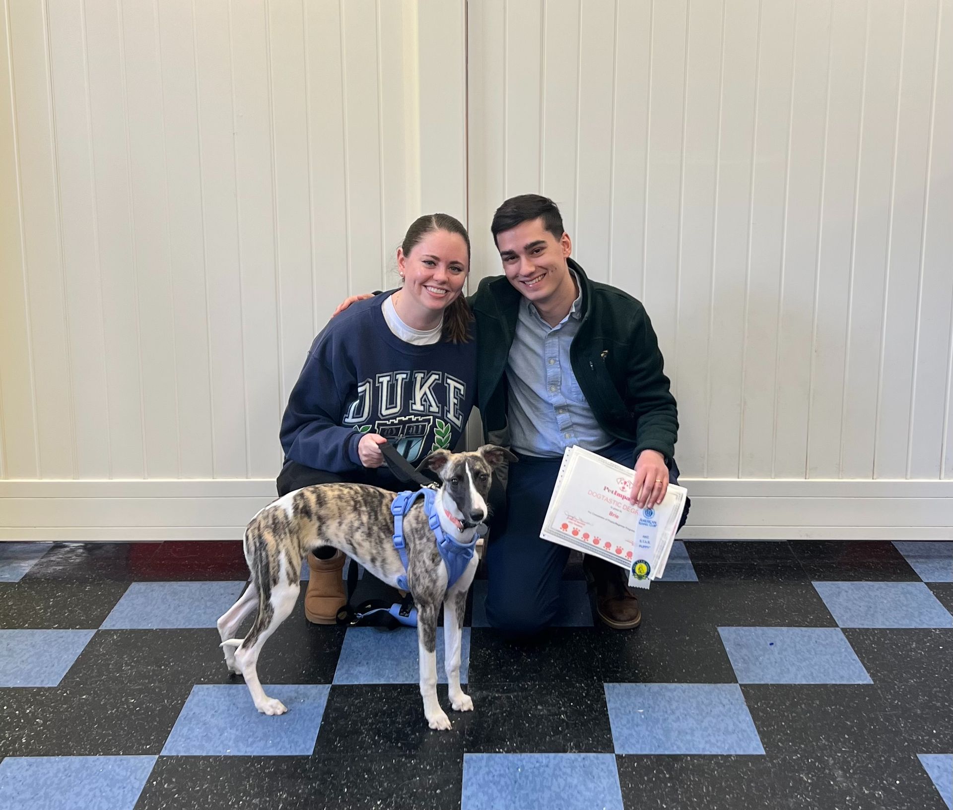 Smiling Couple Dog Owner — St. Louis, MO — PetImpact!