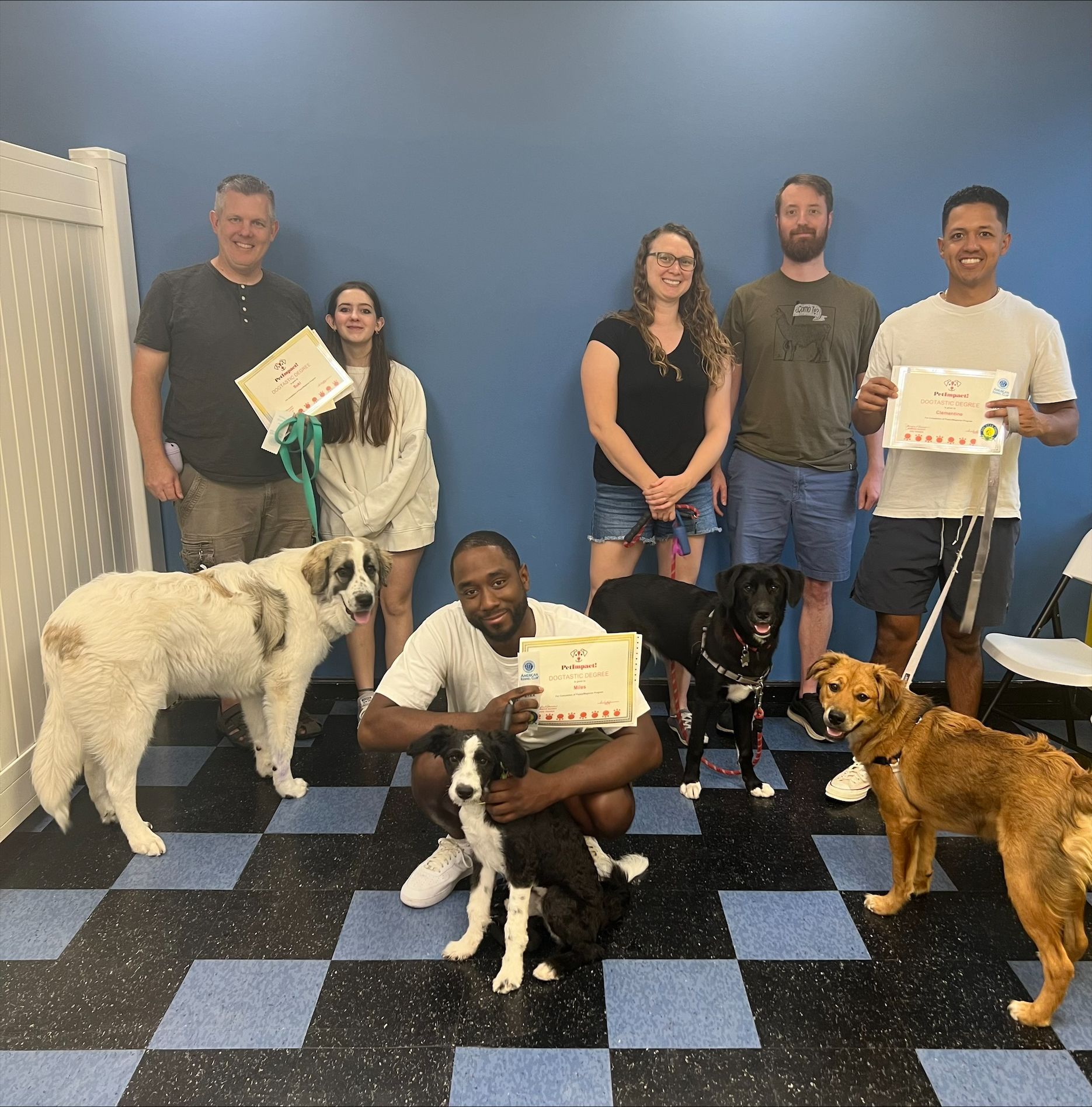 A group of people and their dogs are posing for a picture