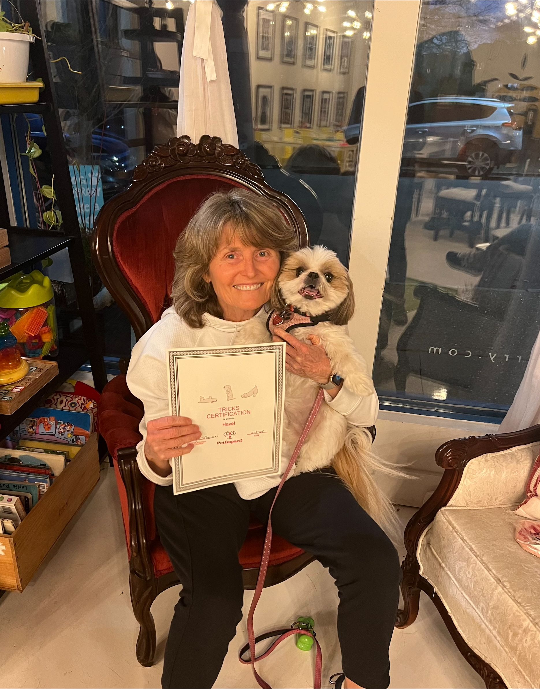 Smiling Dog — St. Louis, MO — PetImpact!