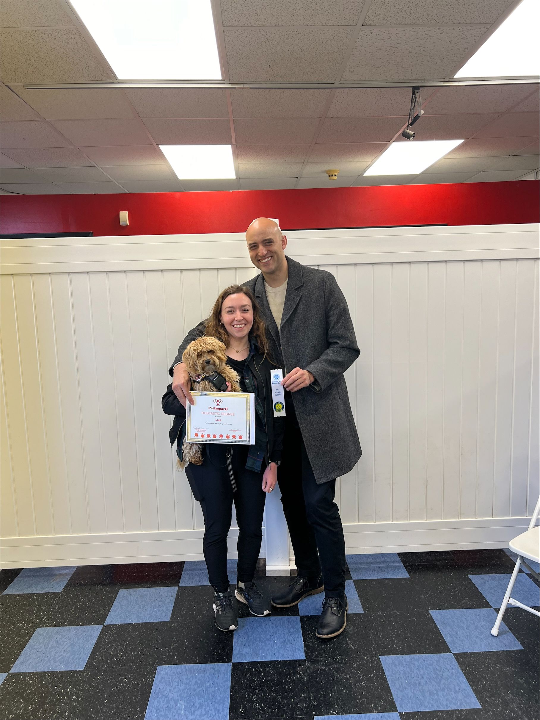 Lola — St. Louis, MO — PetImpact!