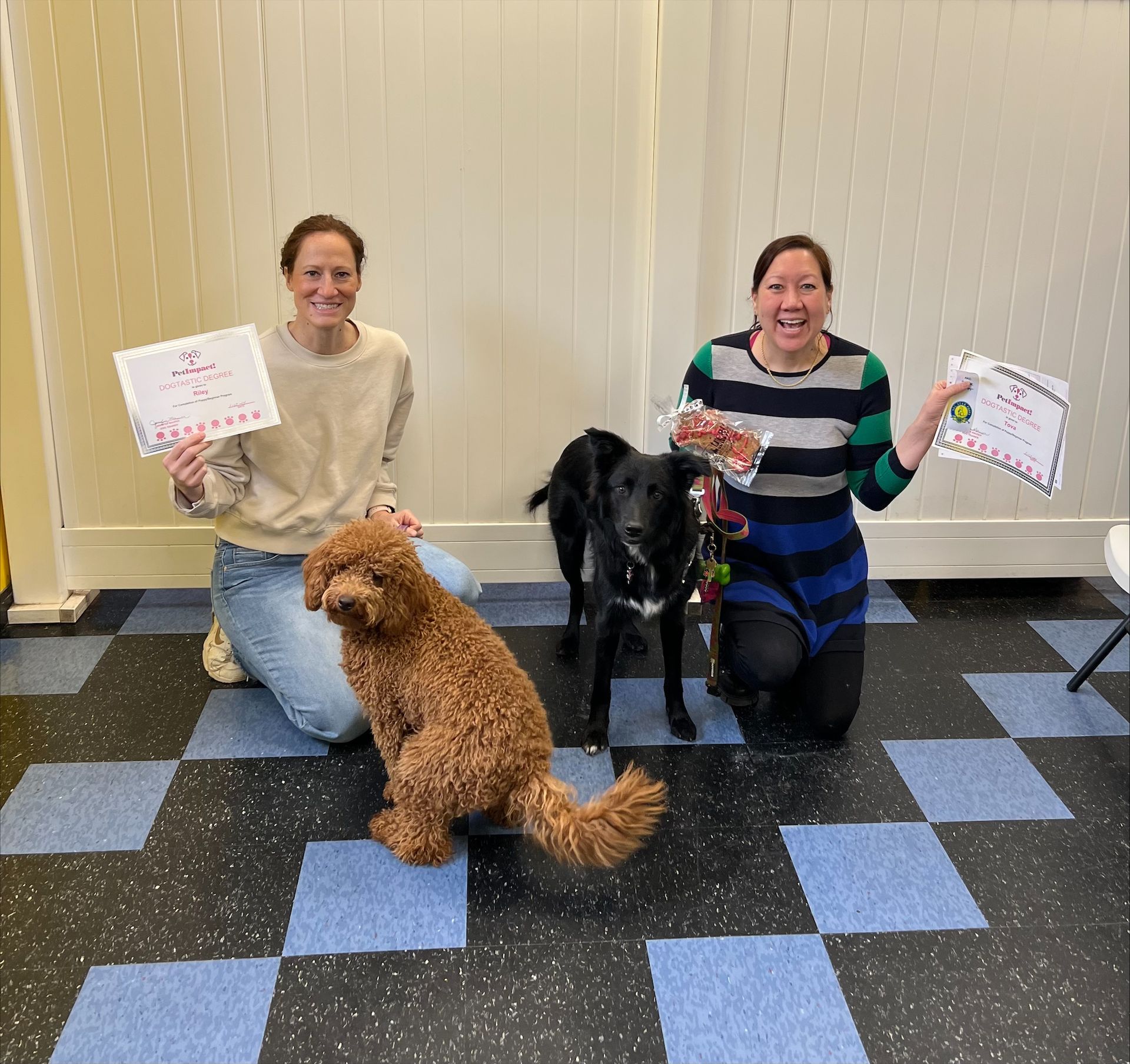 Two Women And Two Dogs For A Posing Picture — St. Louis, MO — PetImpact!