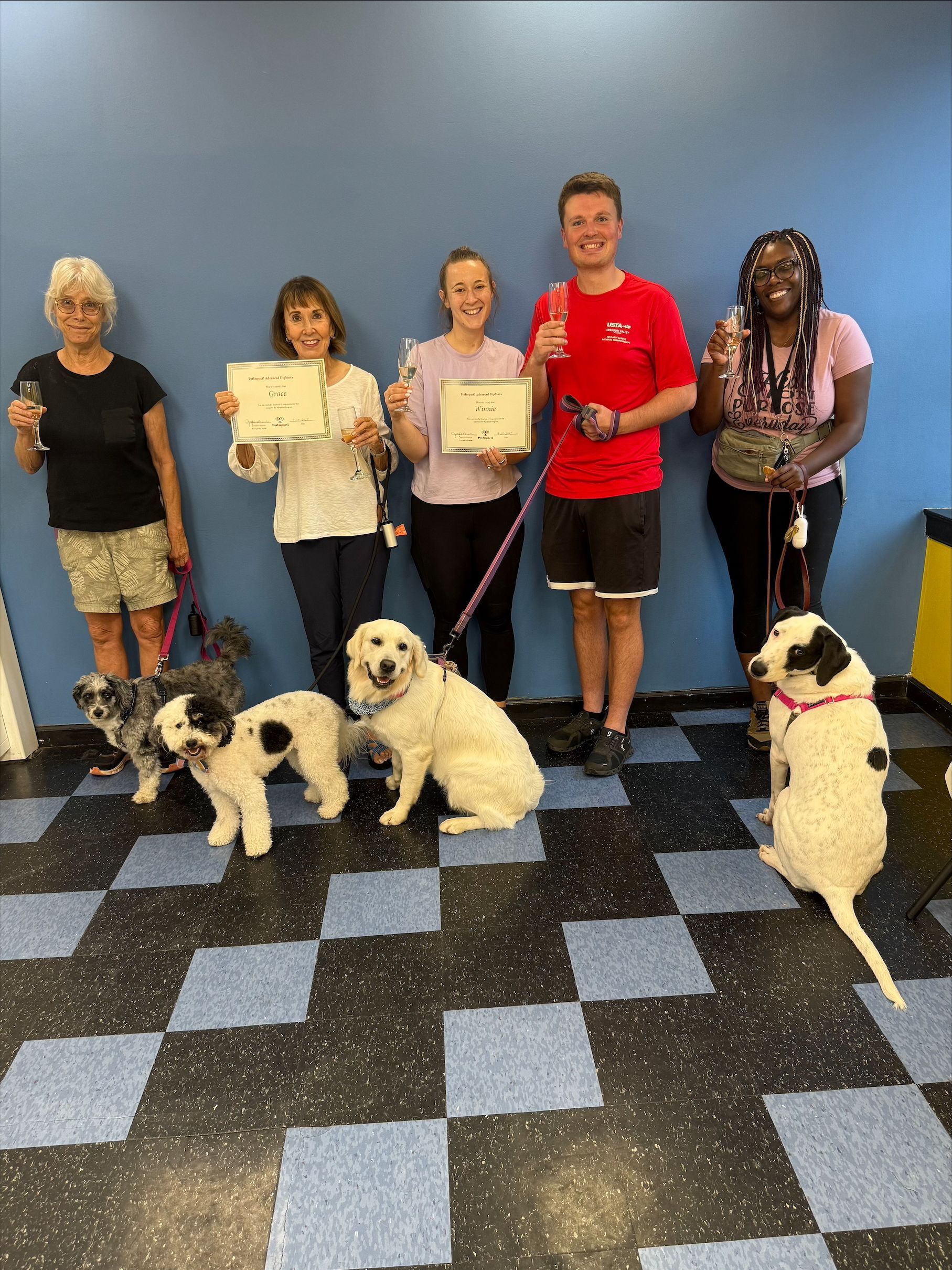 People and dogs posing, holding certificates; blue/black tiled floor, blue wall.