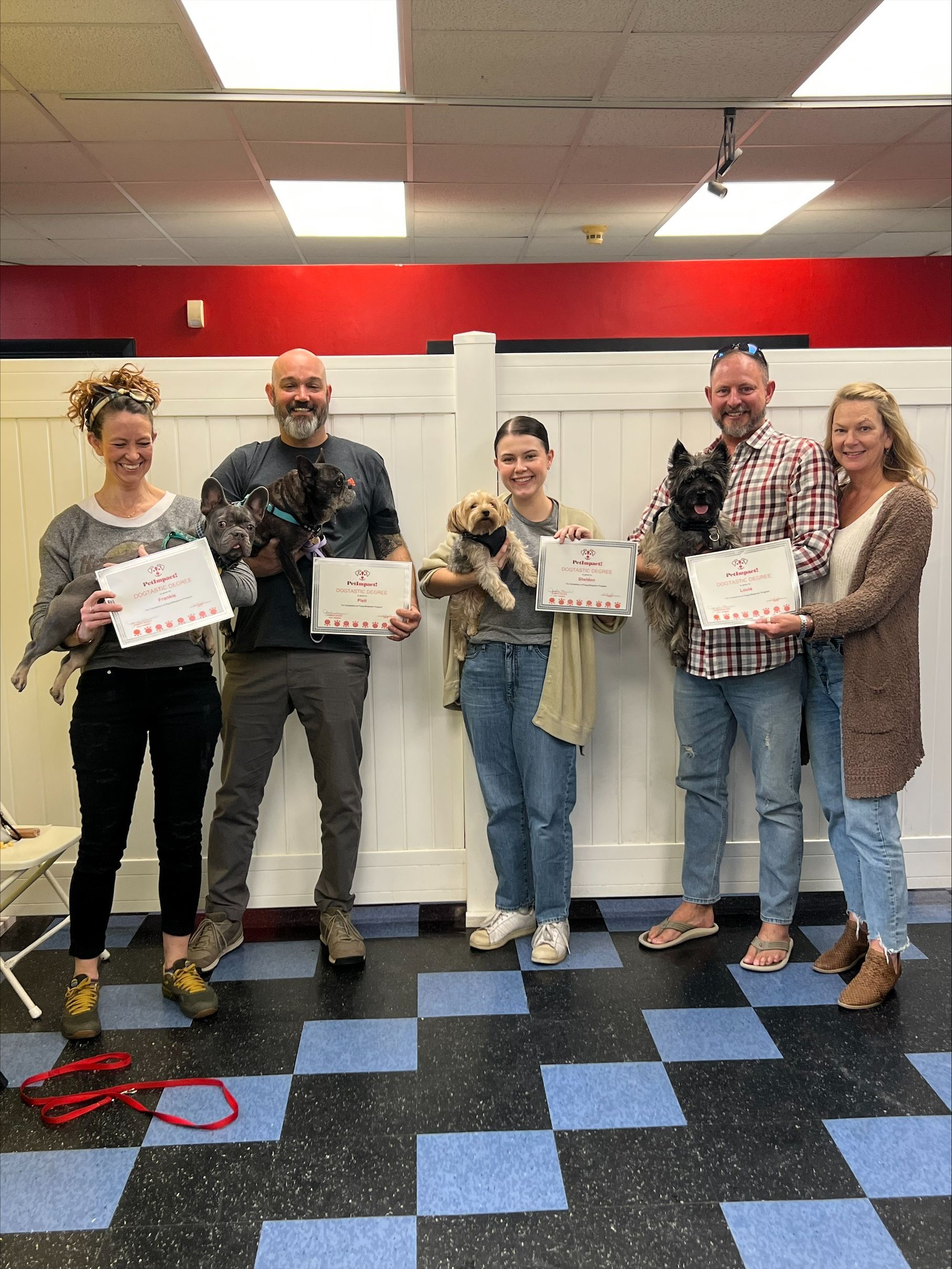 Five Dog Owner — St. Louis, Mo — Petimpact!