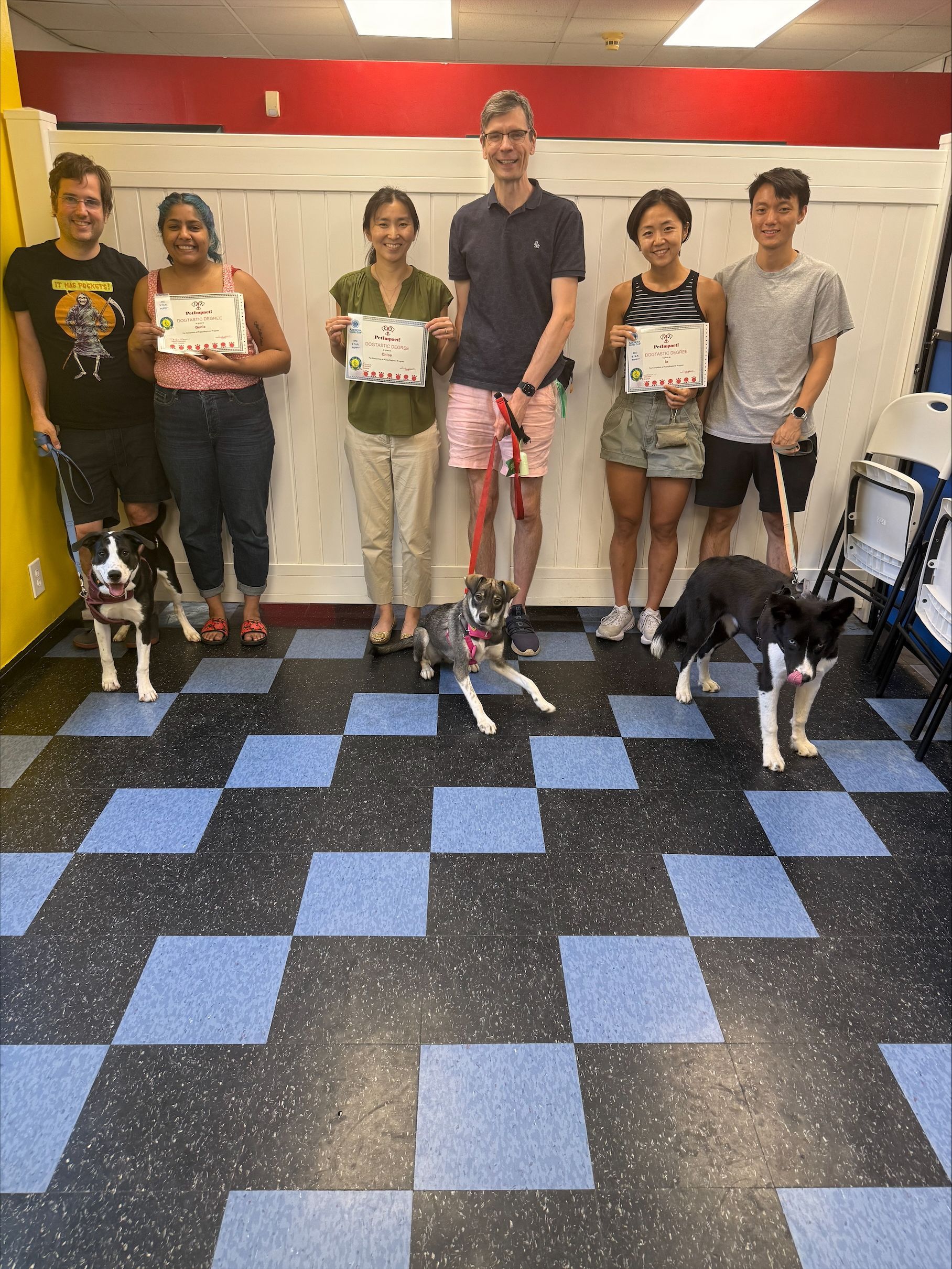A group of six people and three dogs pose with certificates. They stand on a blue and black checkered floor in a room with a red and yellow wall.