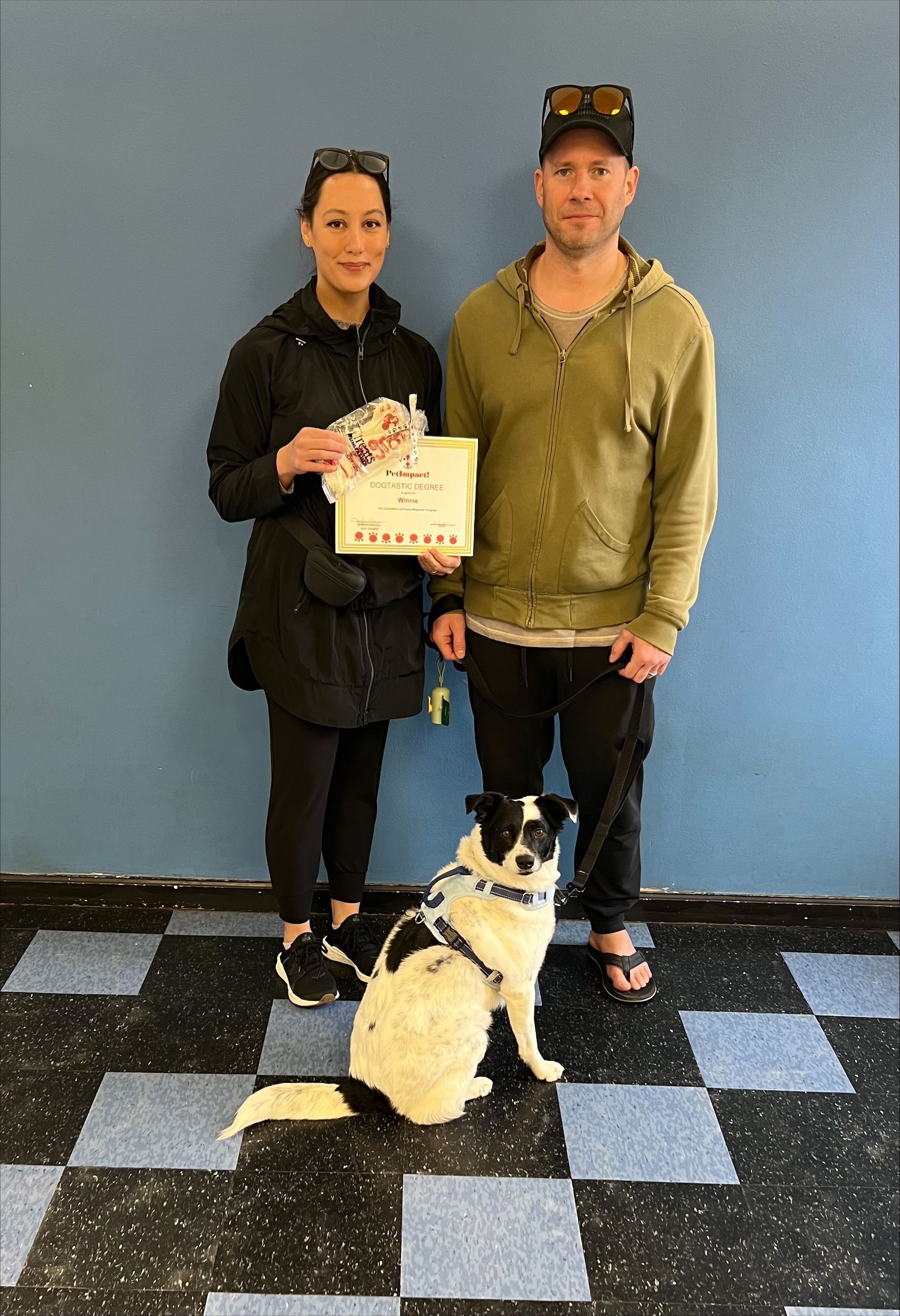 A man and a woman are standing next to a dog on a checkered floor.