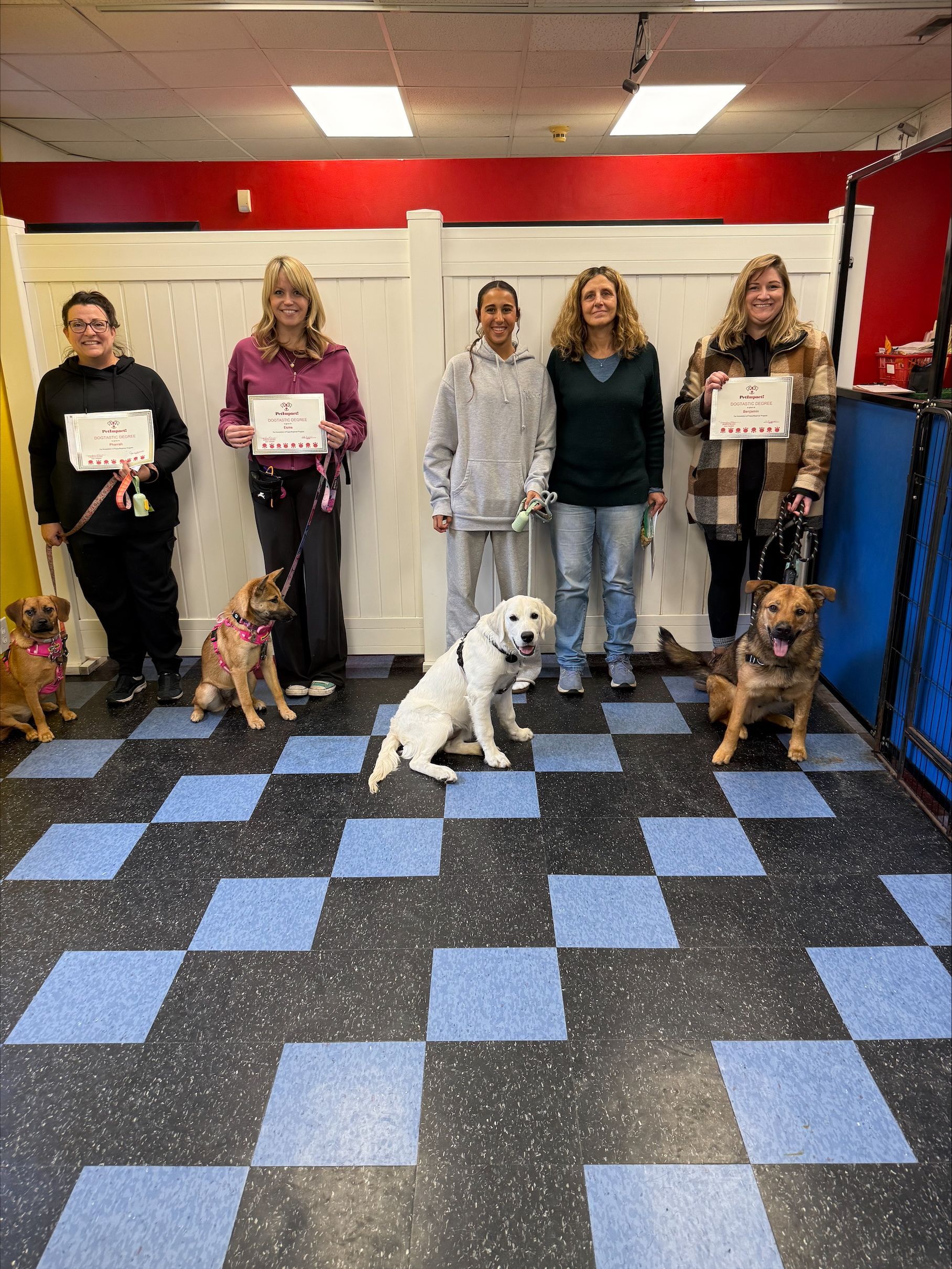 People and dogs in a training class, holding certificates. Blue and black checkered floor, red and white walls.