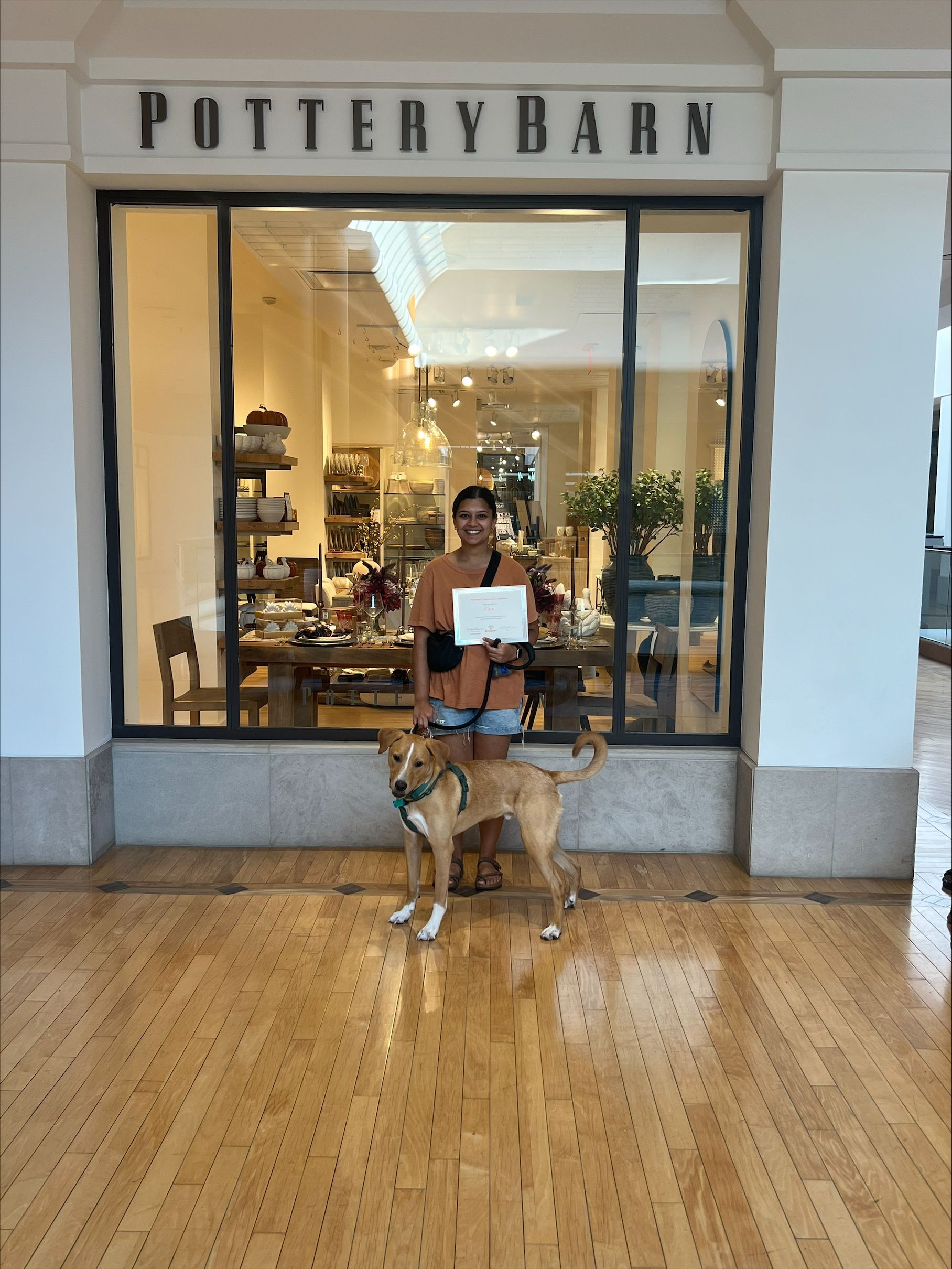 A man and a dog are standing in front of a pottery barn store