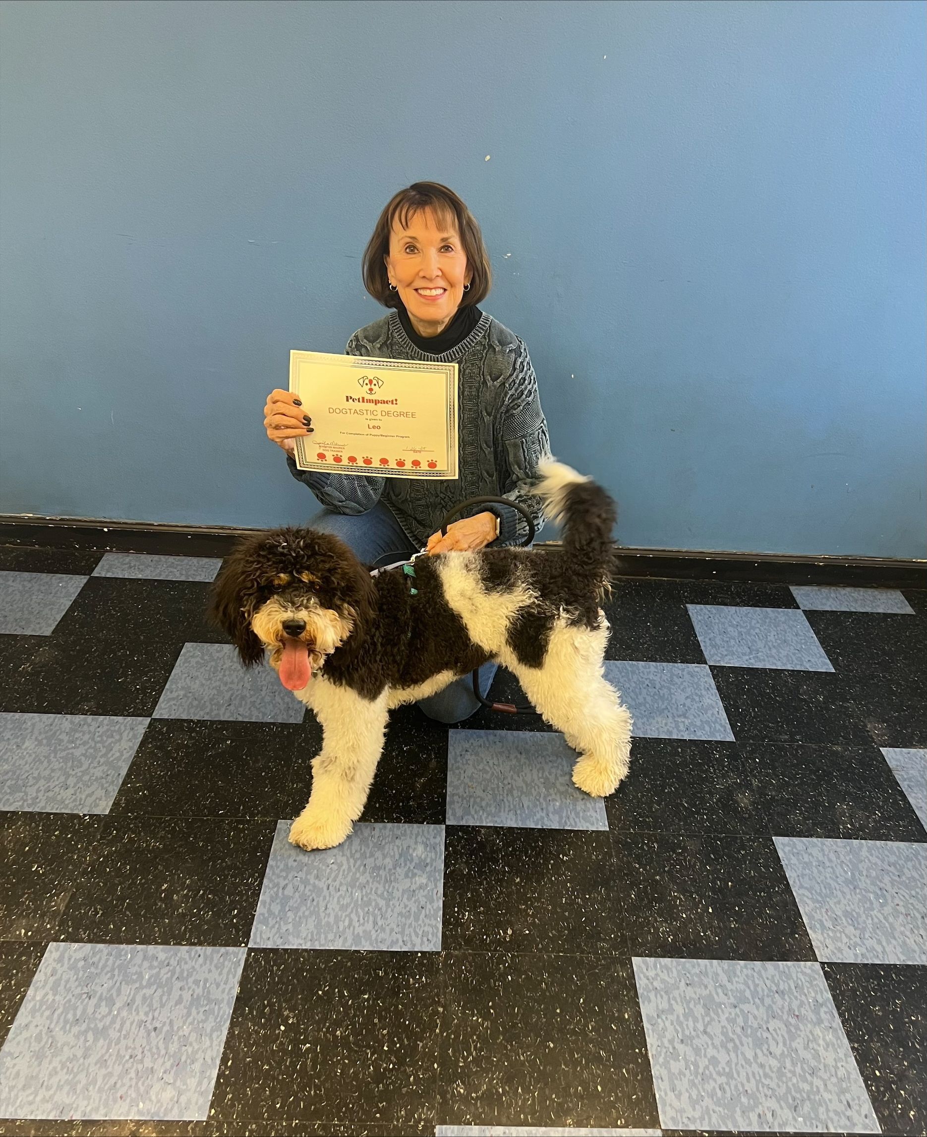 A woman is kneeling next to a brown and white dog holding a certificate.
