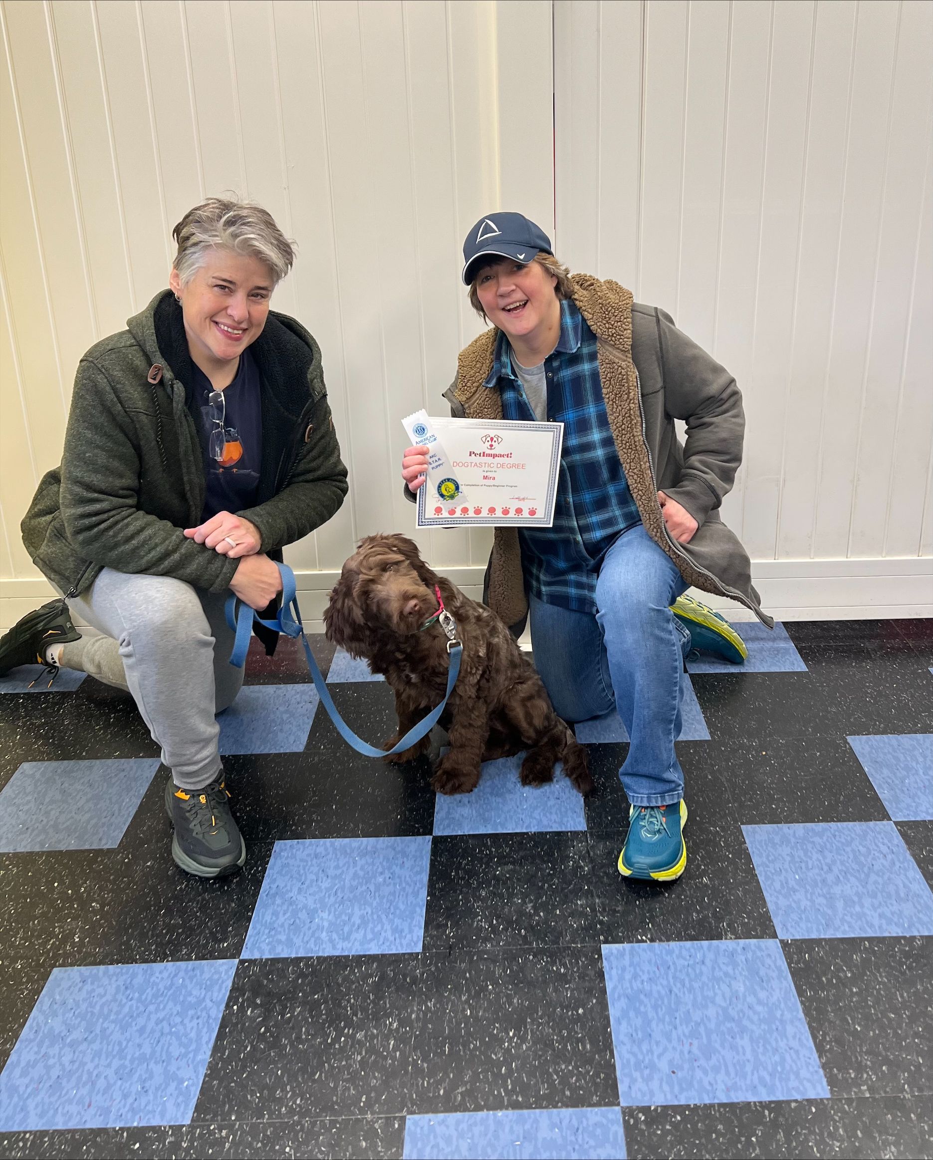 Two Owner — St. Louis, MO — PetImpact!