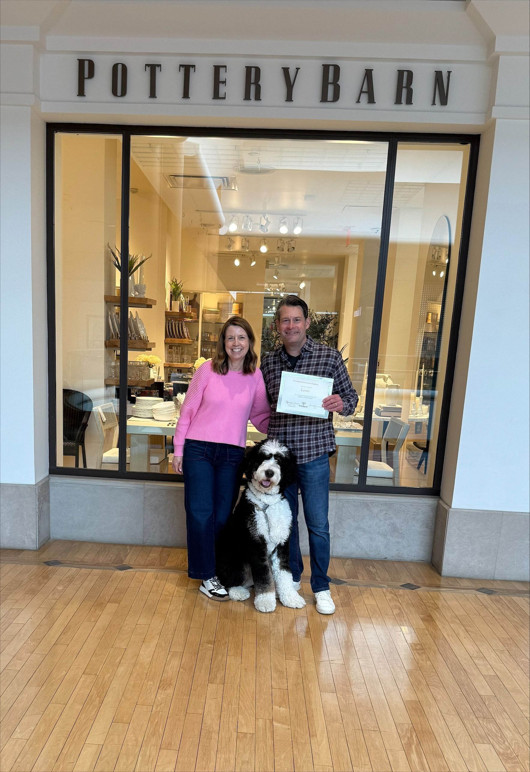 A brown and white dog is laying on a rug in a living room.